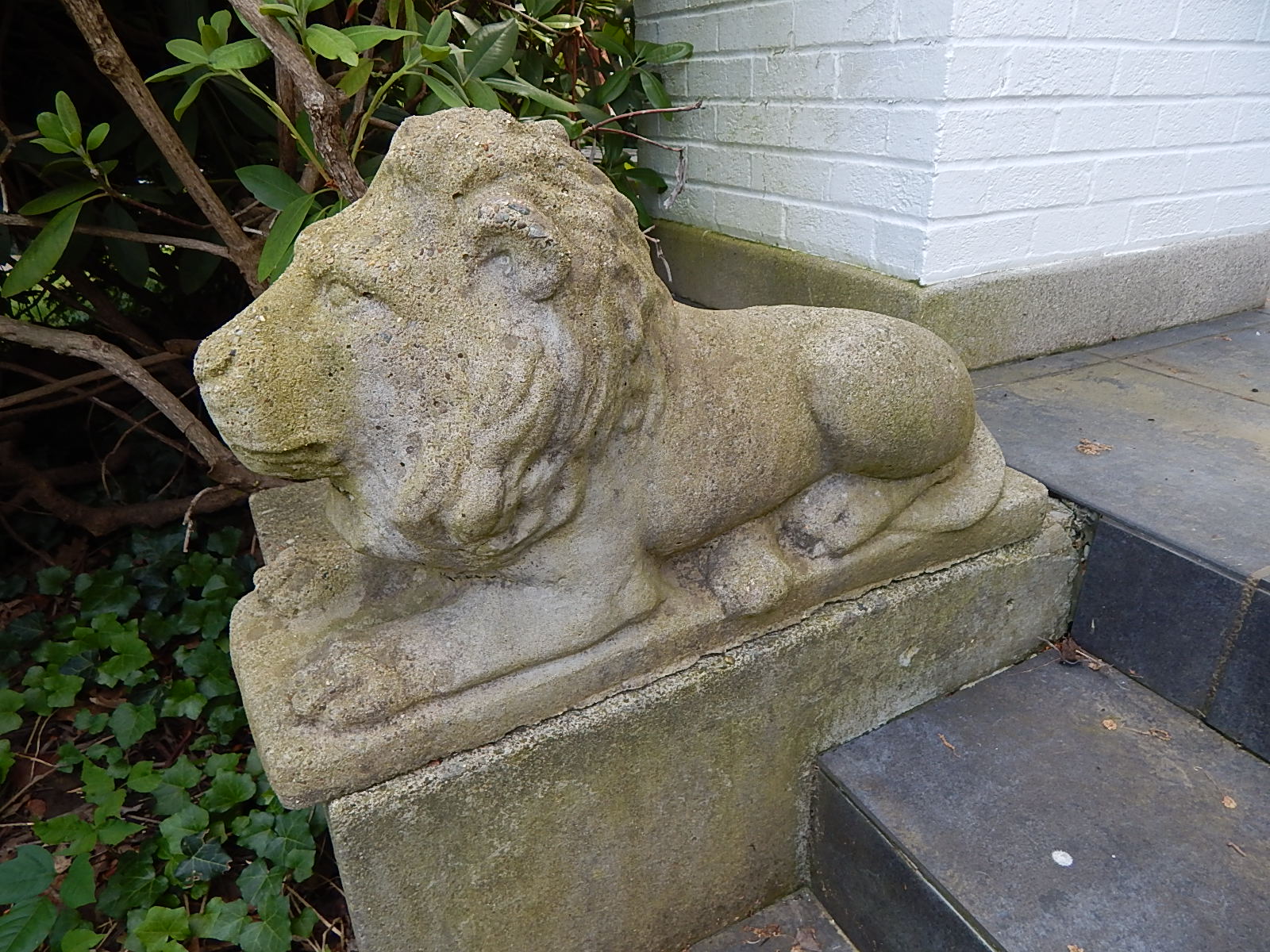 Two Concrete Lion Patio Statues