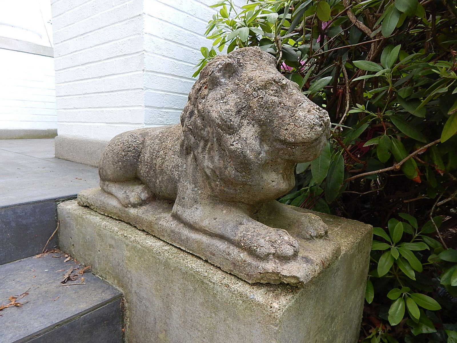 Two Concrete Lion Patio Statues