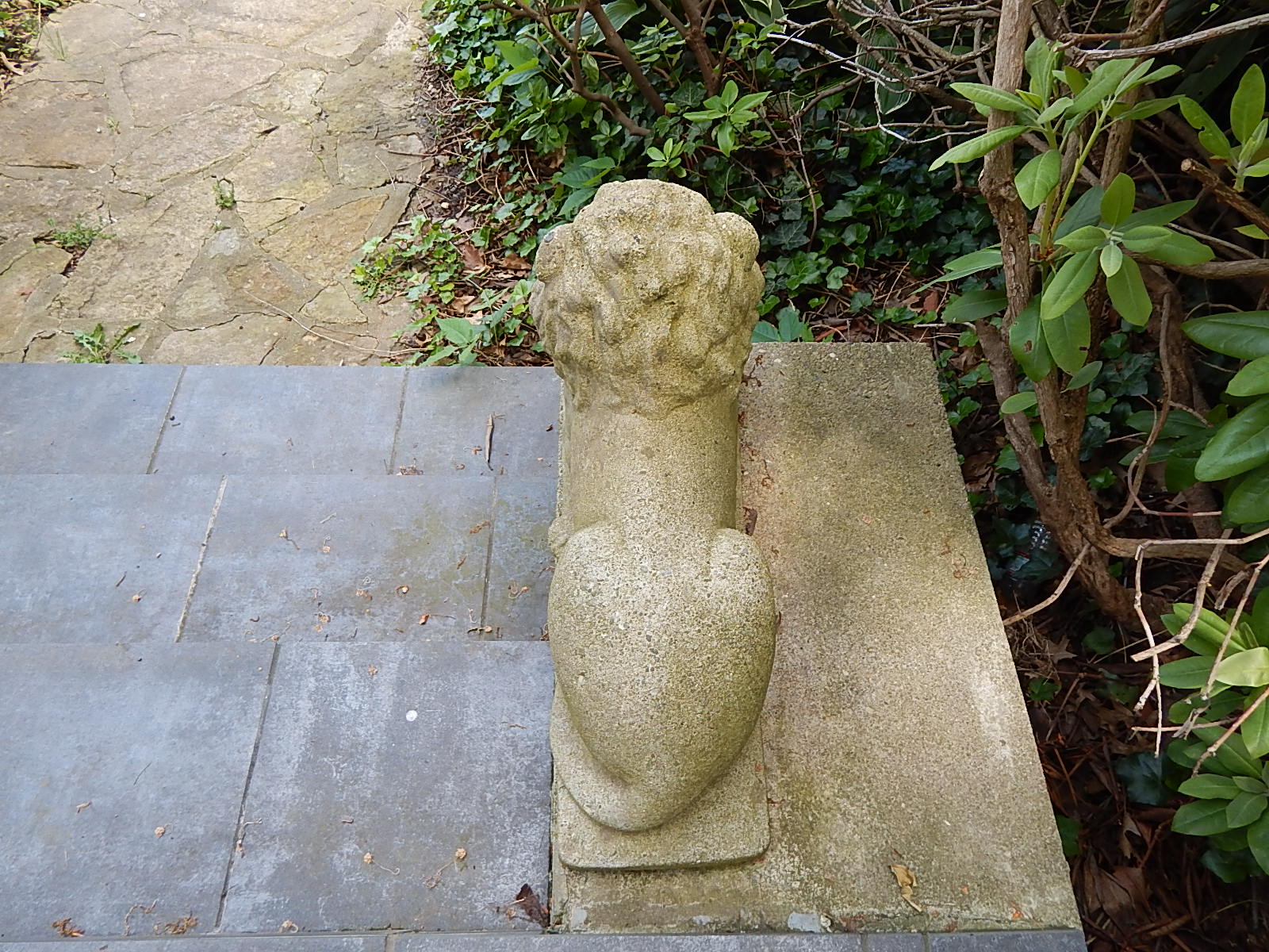 Two Concrete Lion Patio Statues