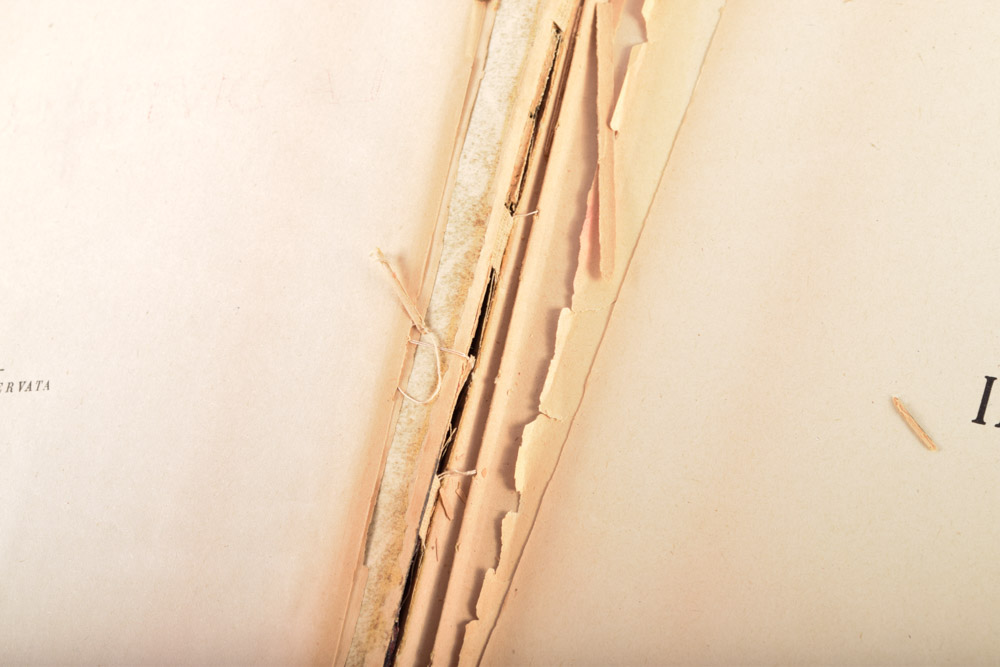 1927 Italian Dante's "La Divina Commedia"