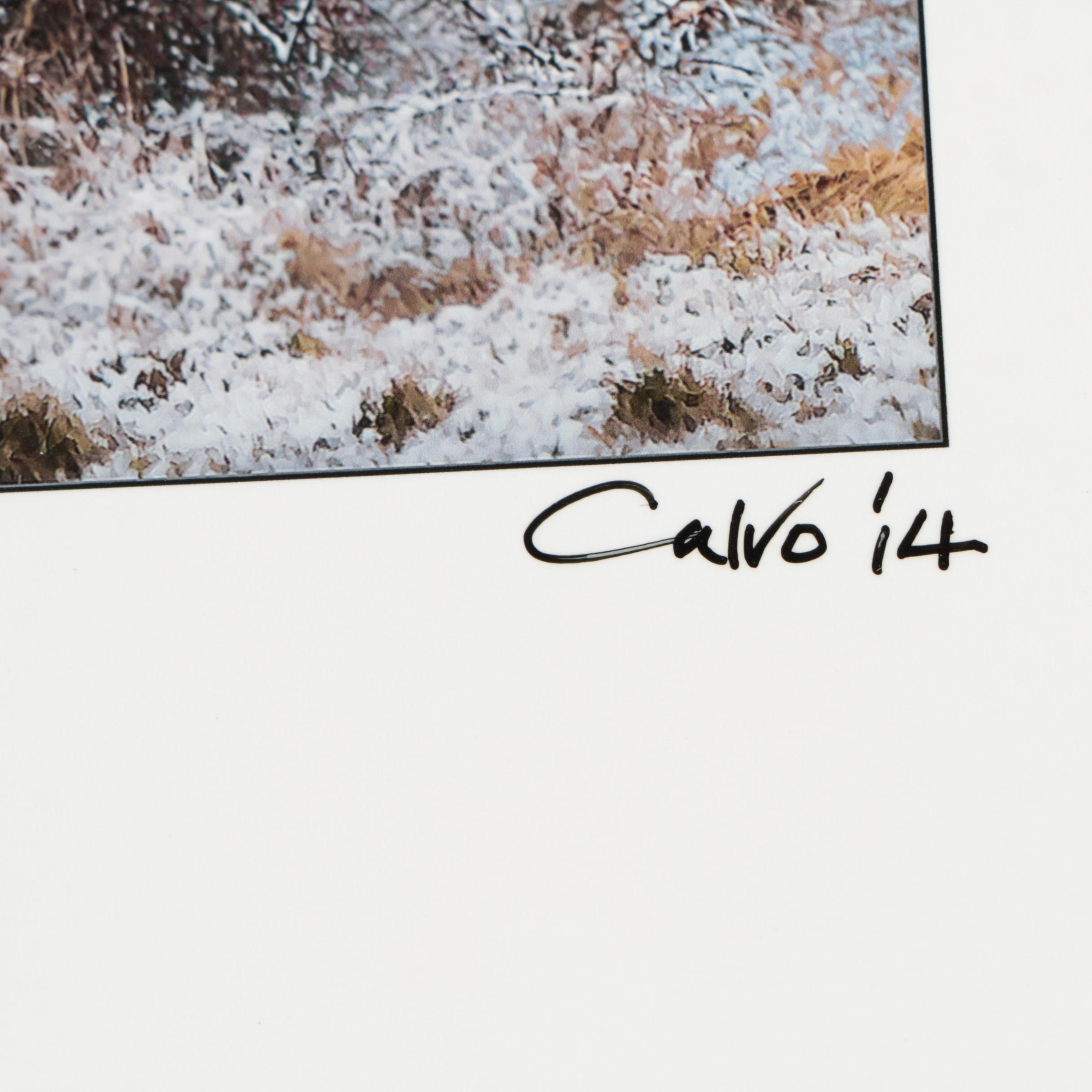 Collection of Digital Photographs Including Images by Richard Calvo