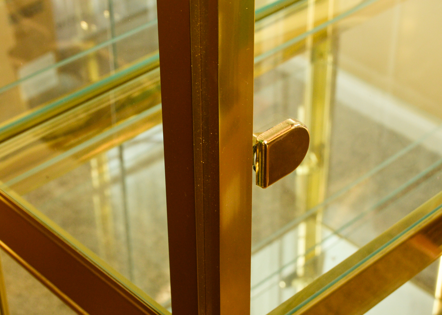 Glass and Gold Display Cabinet