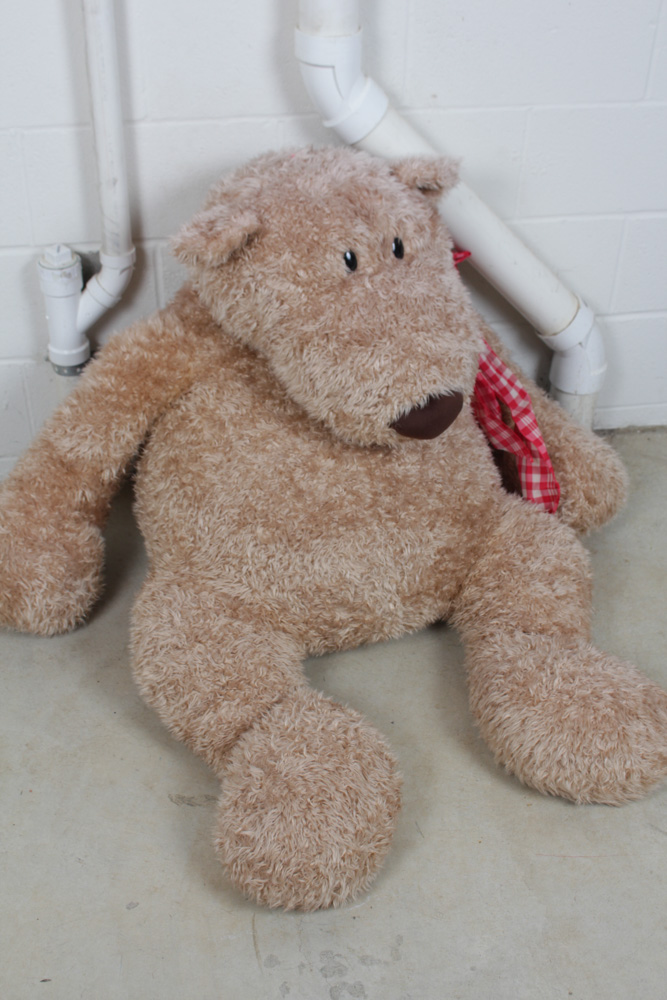 Pottery Barn and More Stuffed Animal Collection