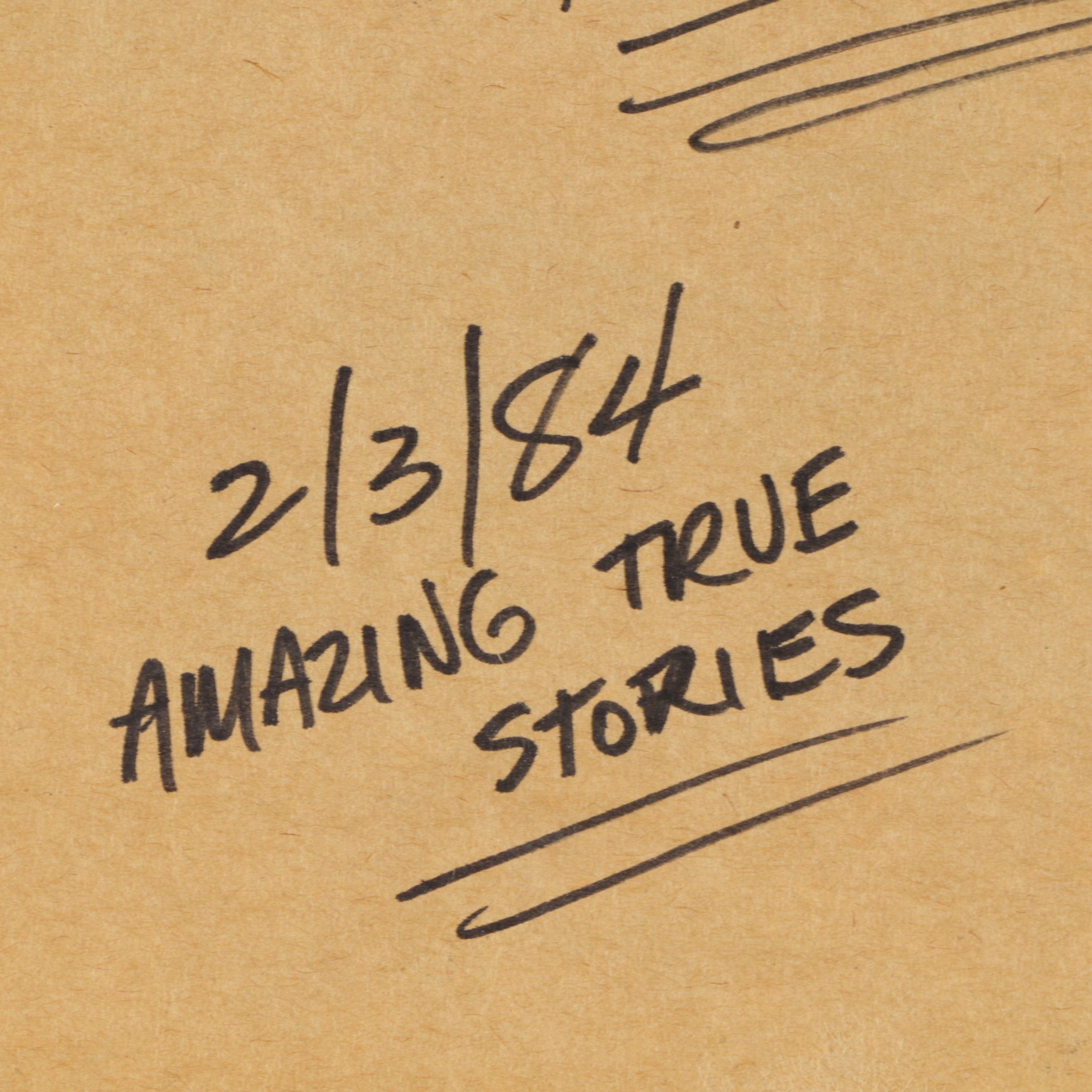 Arnold Fine and Howard Spielman Storyboard Panels and Illustrations