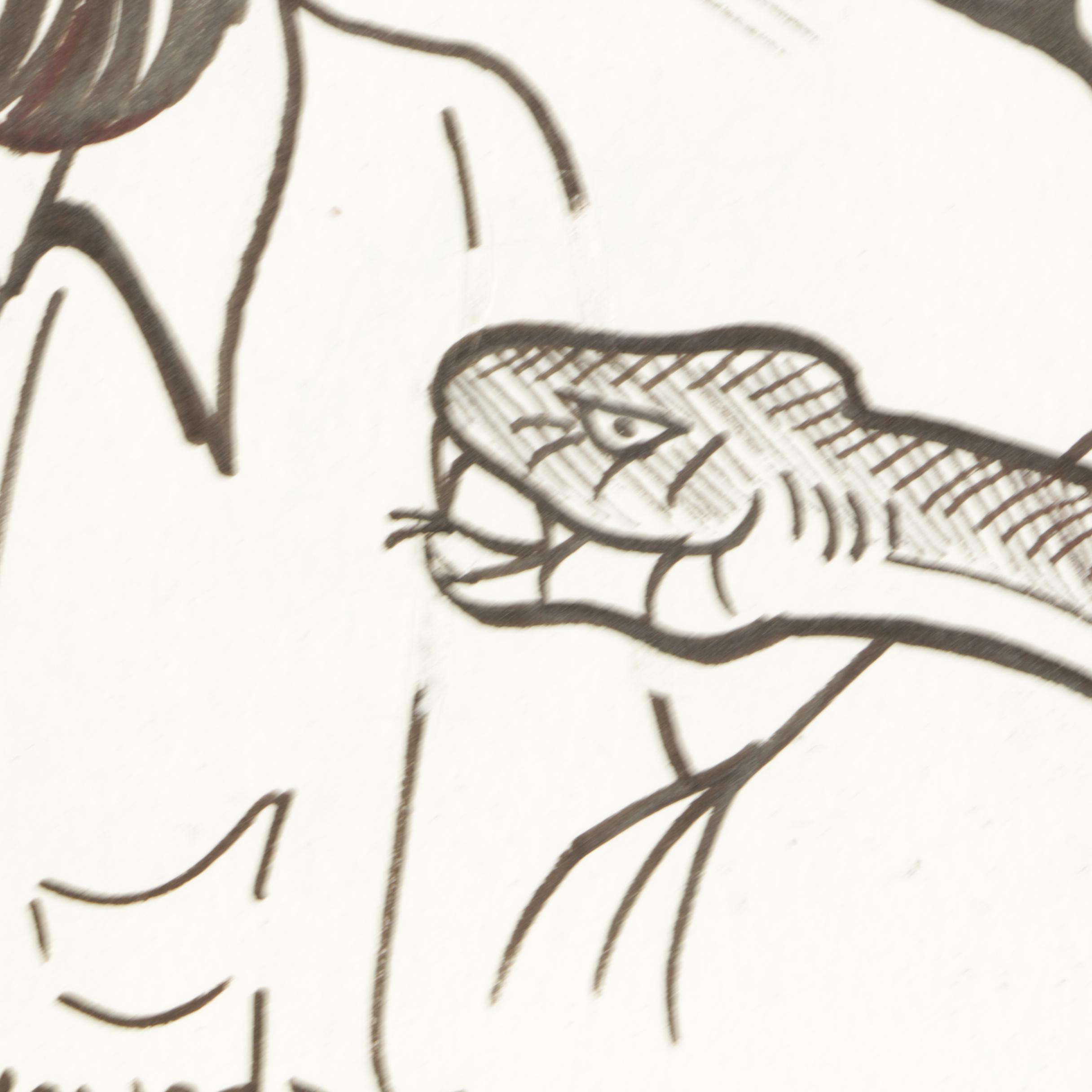 Arnold Fine and Howard Spielman Storyboard Panels and Illustrations