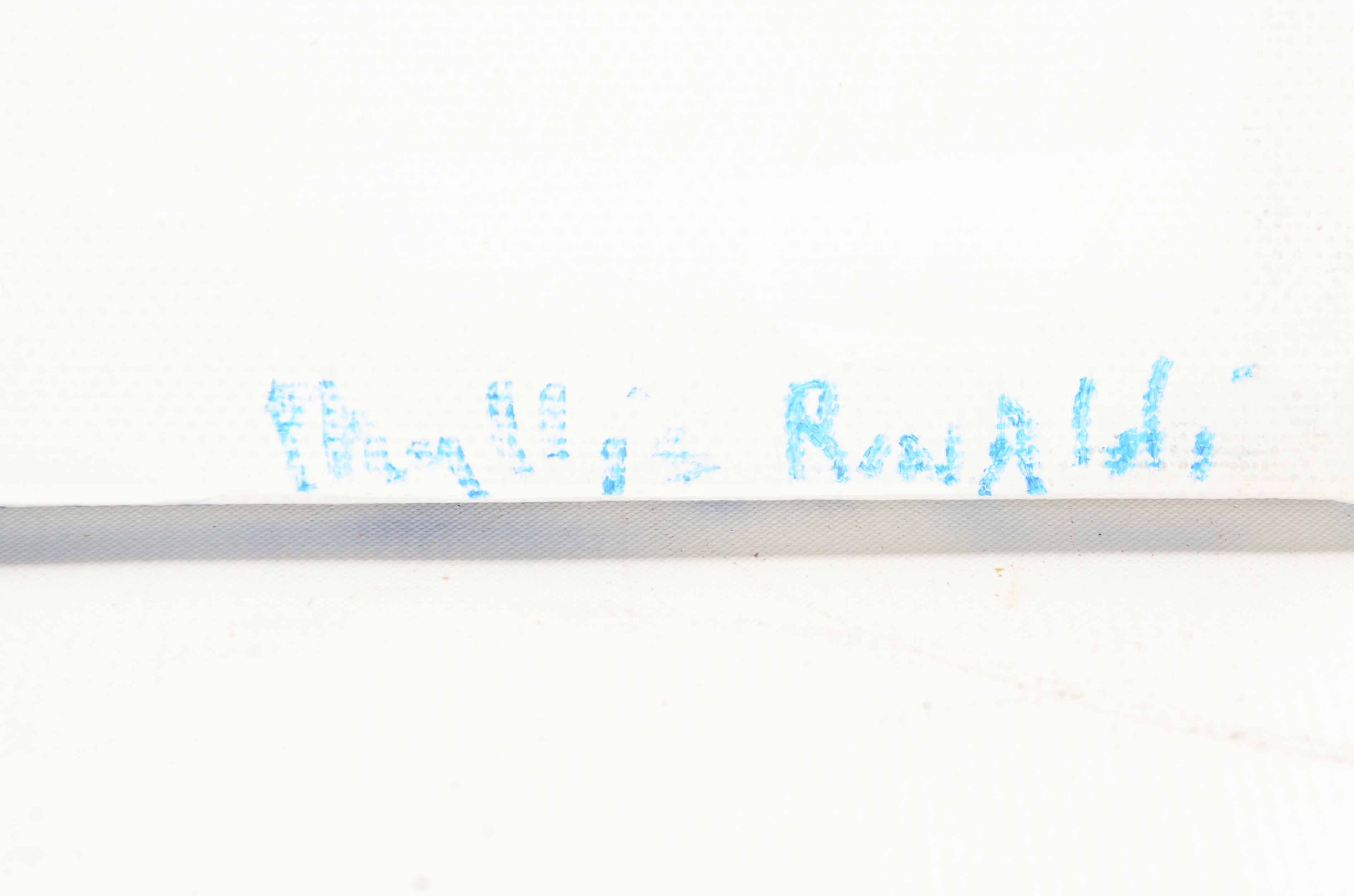 Phyllis Rinaldi Original Acrylic Painting on Canvas