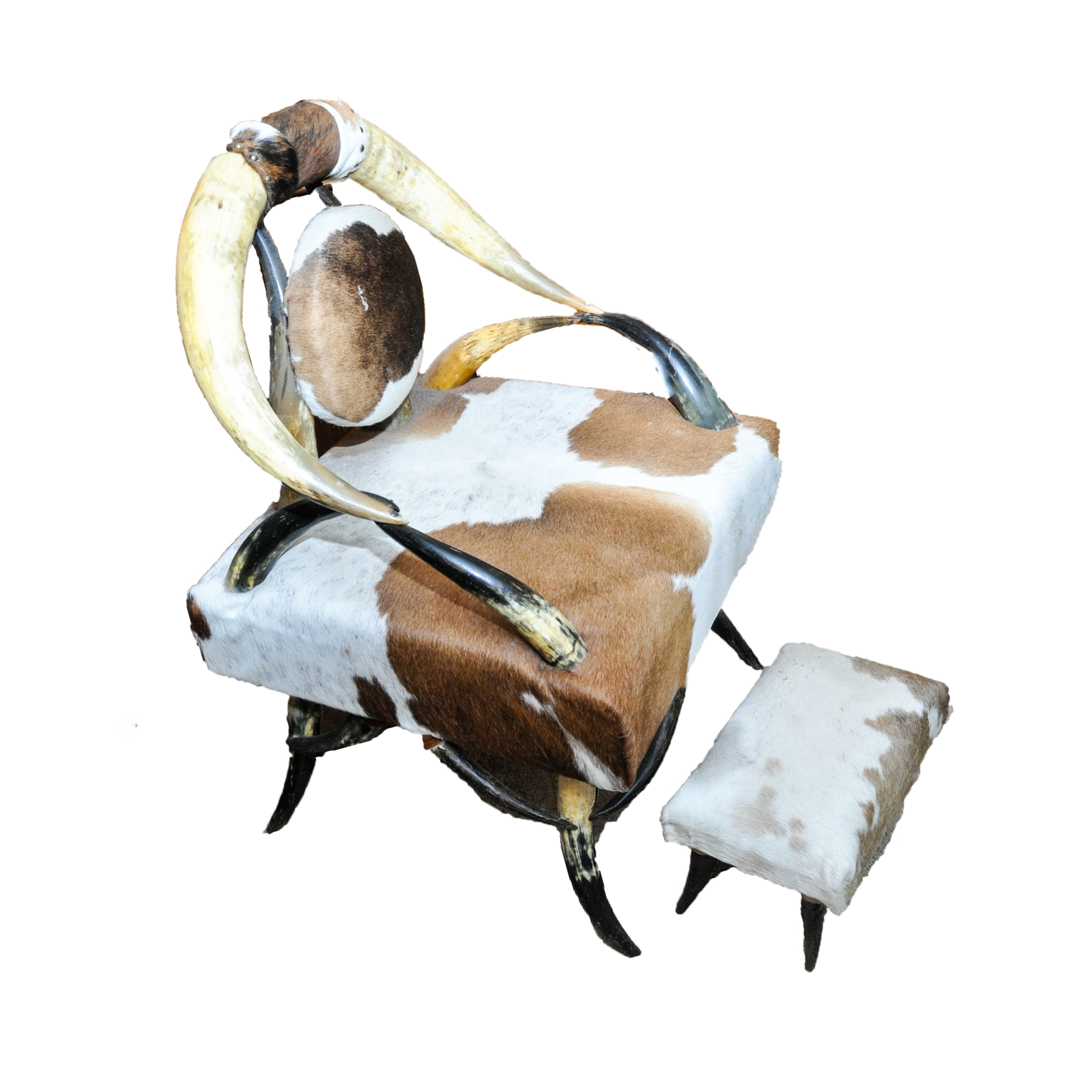 Steer Horn and Cowhide Chair and Footstool