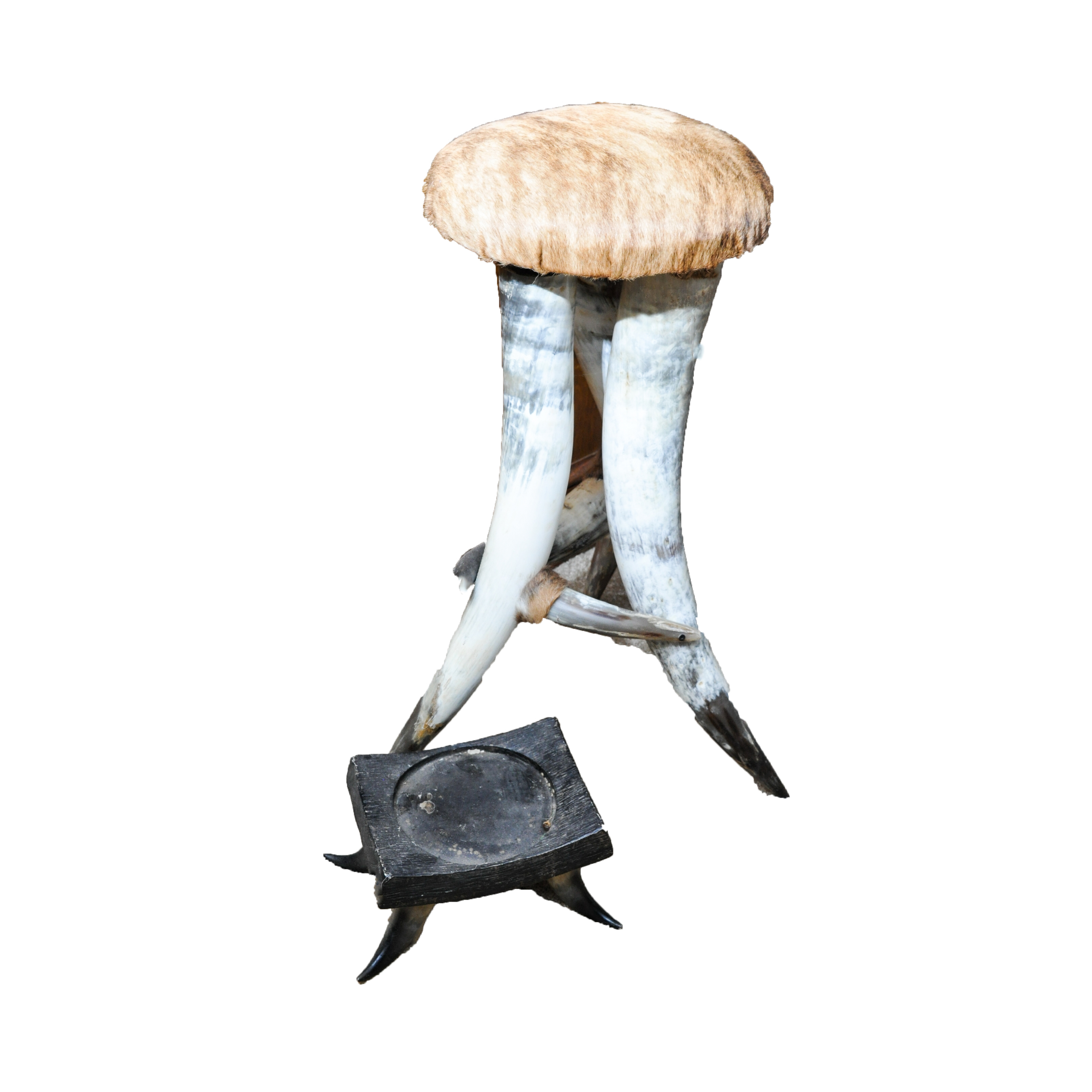 Steer Horn Stool and Stand