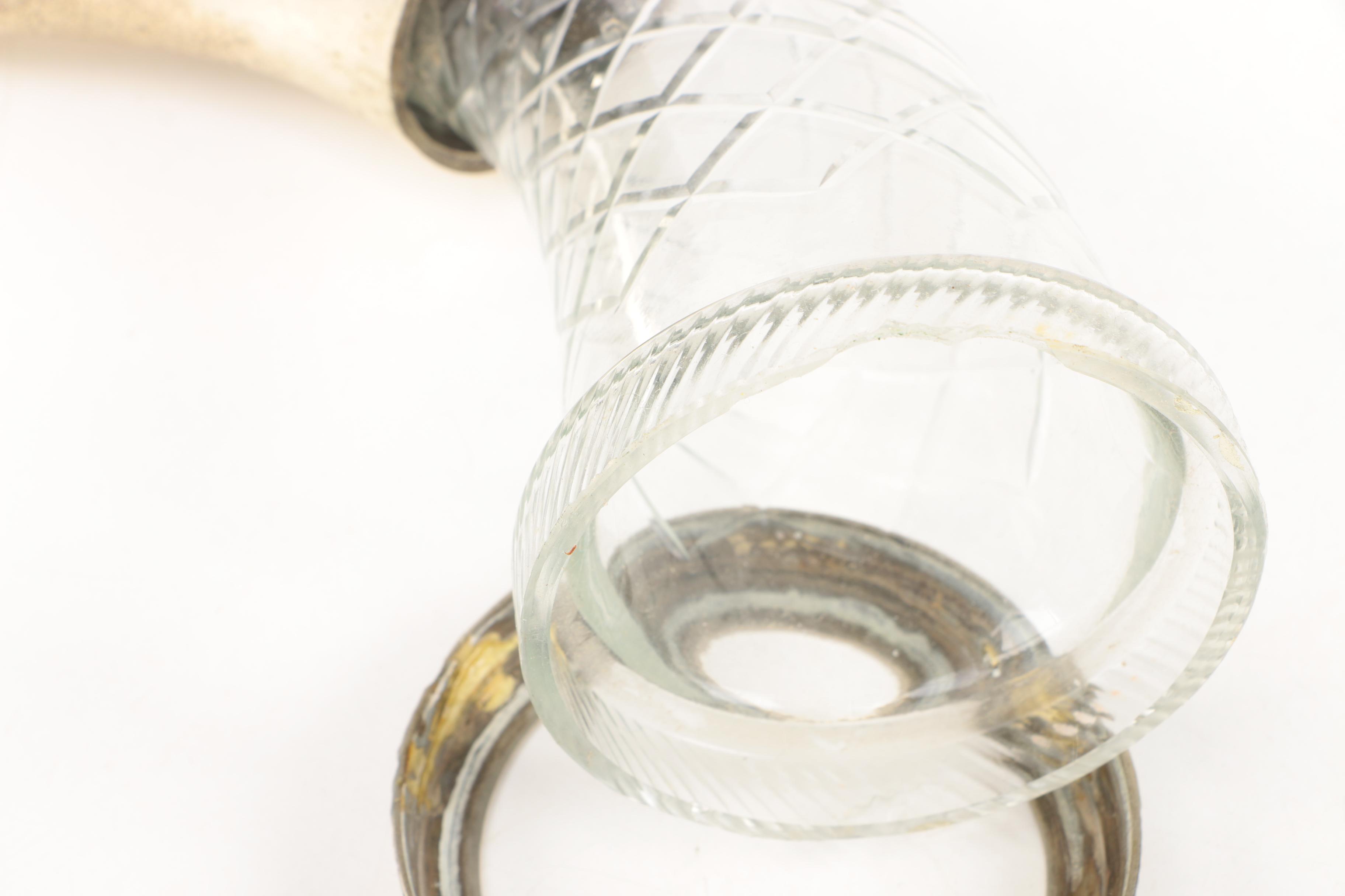 Glass Decanters with Rack and Drinking Horn