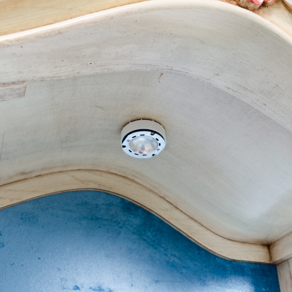 Louis XV Style Carved and Painted Curio Cabinet