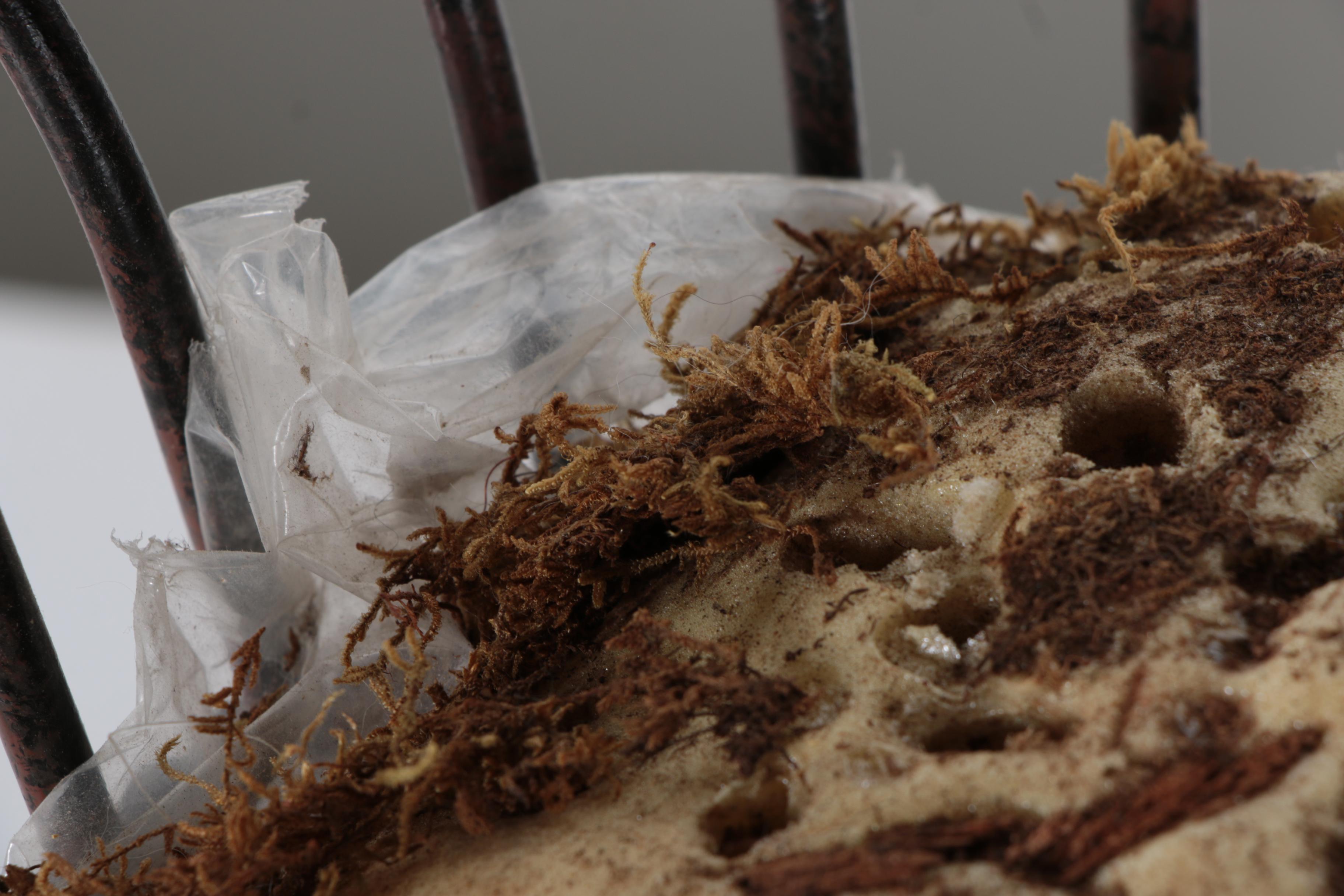 Assorted Hilda Flack and Maitland-Smith. Home Accessories