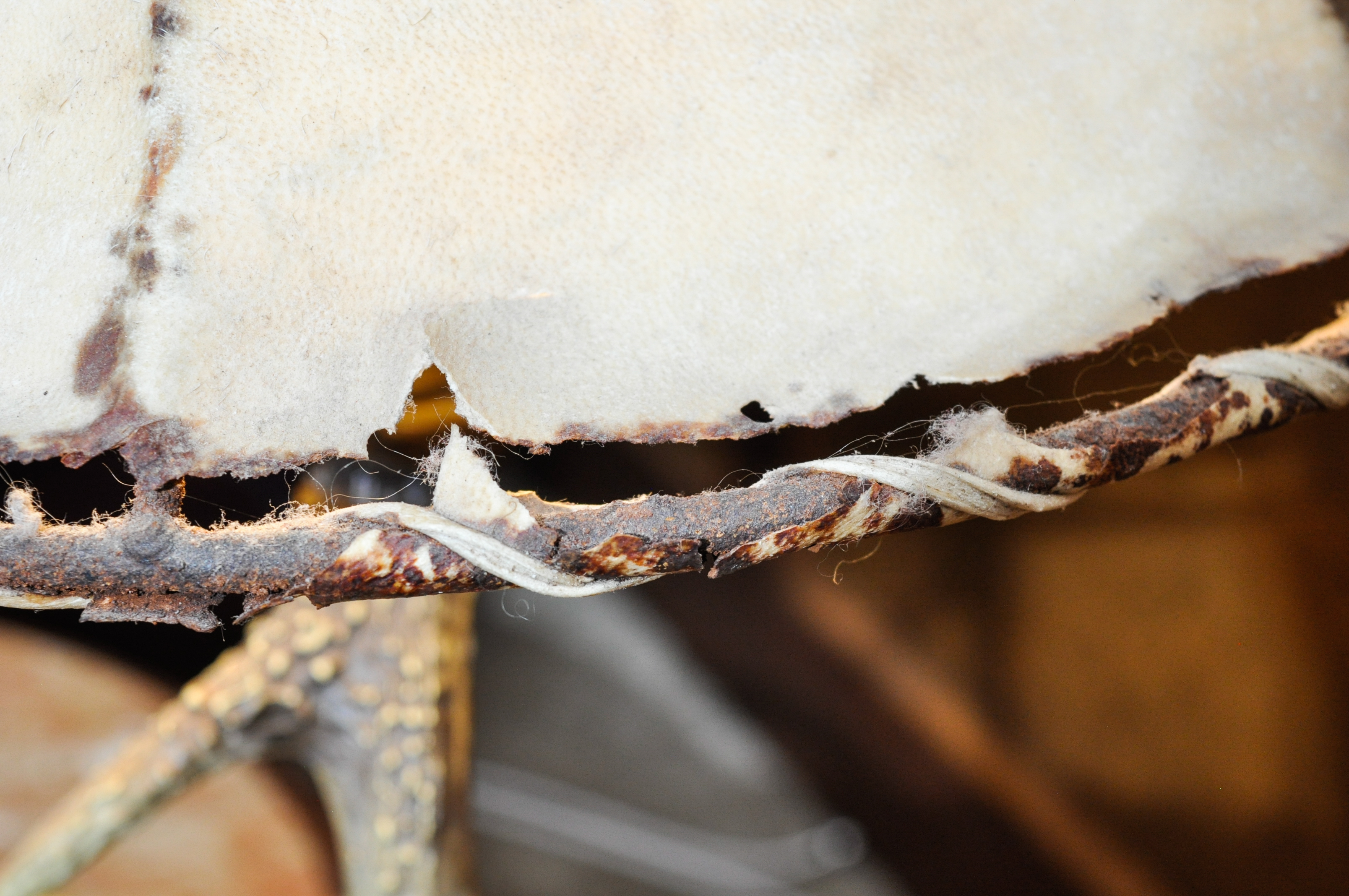 Faux Antler Lamp with Faux Leather Shade