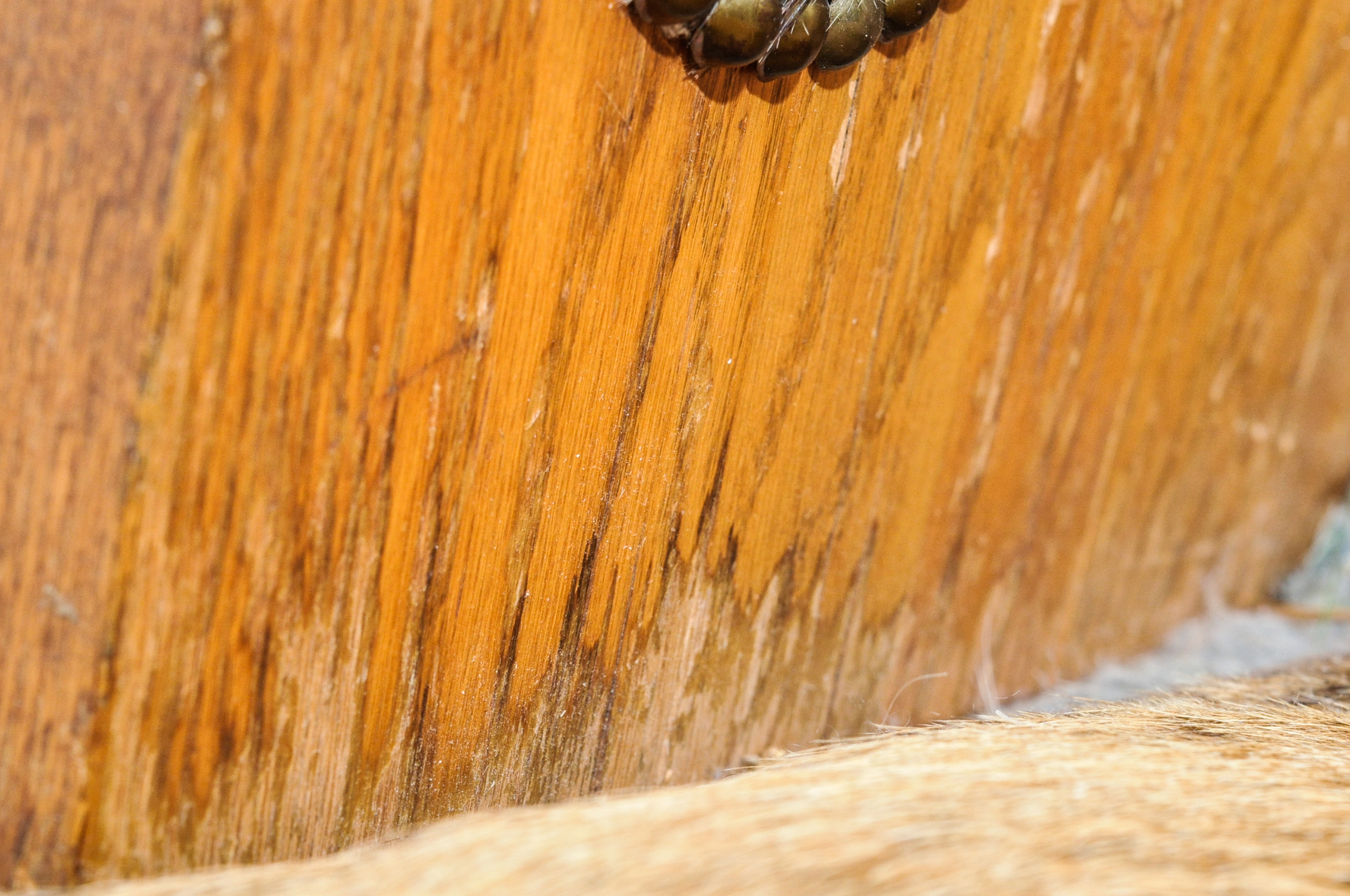Hide Covered Church Pew