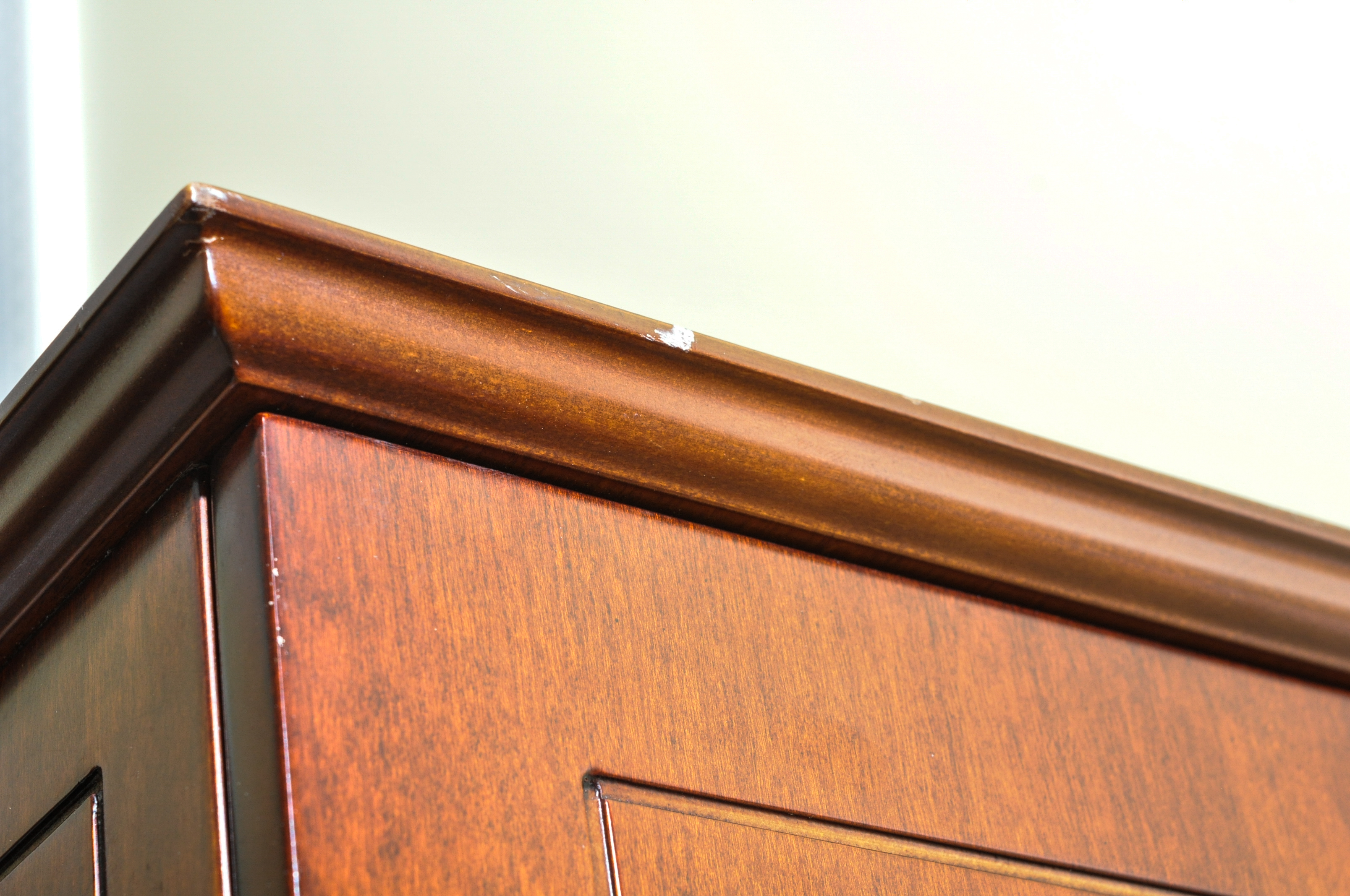 Raised-Panel Cabinet With Divided Interior