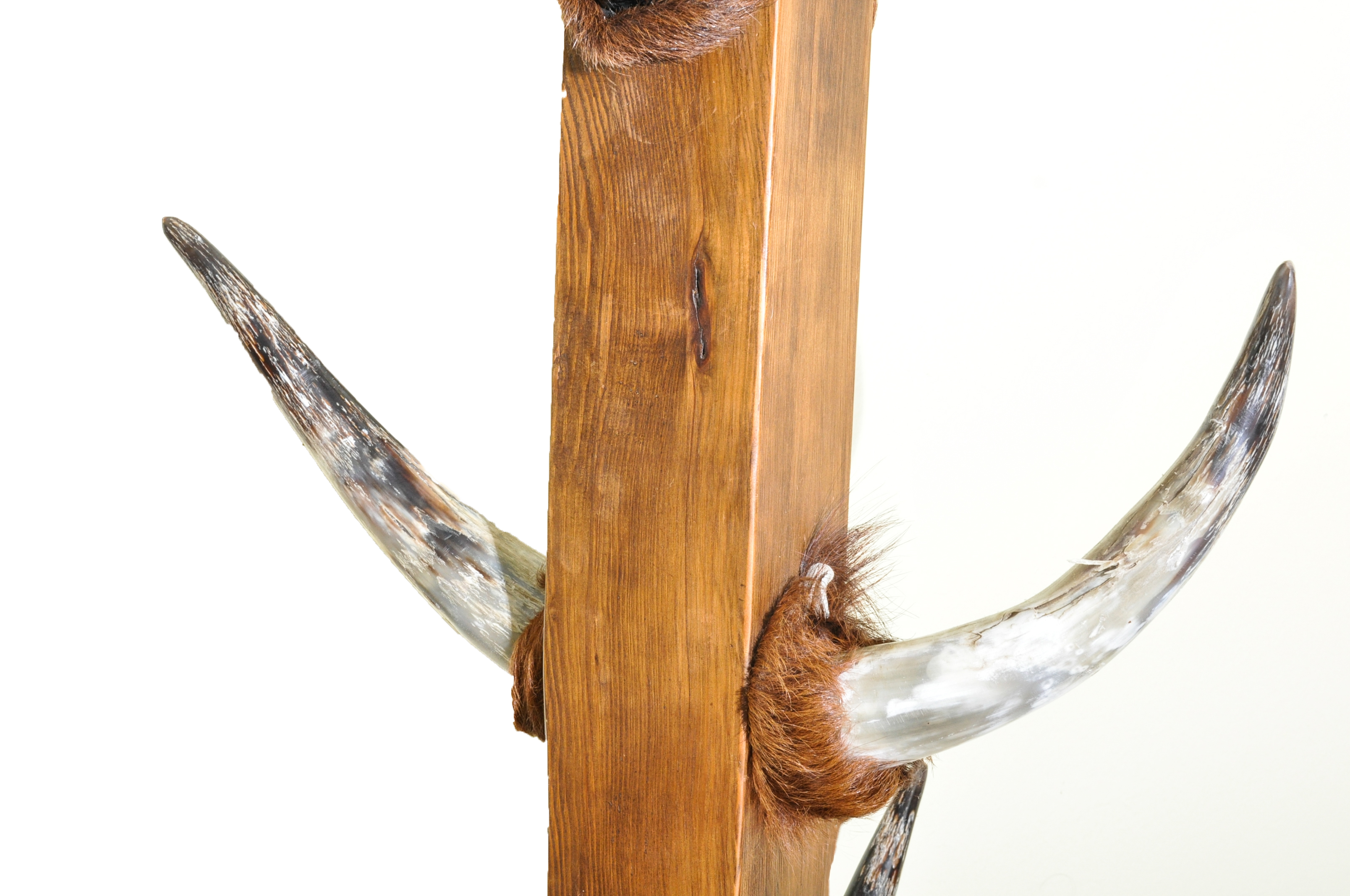 Bull Horn Coat Rack