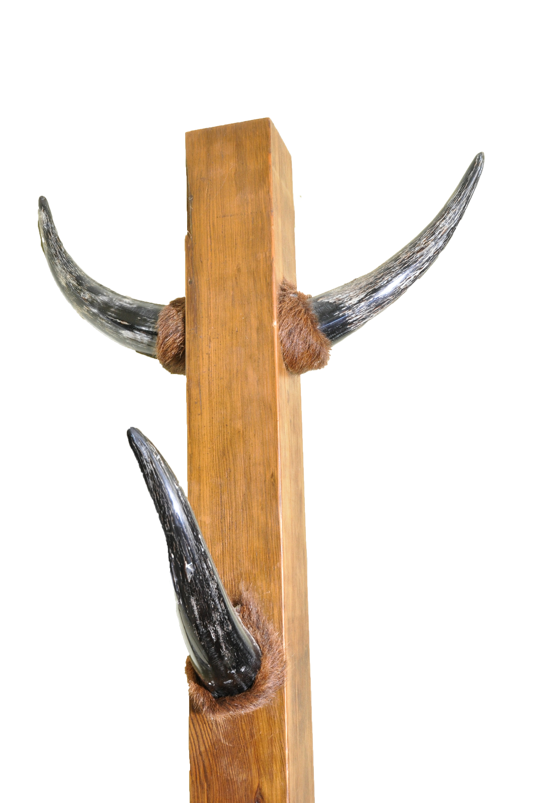 Bull Horn Coat Rack