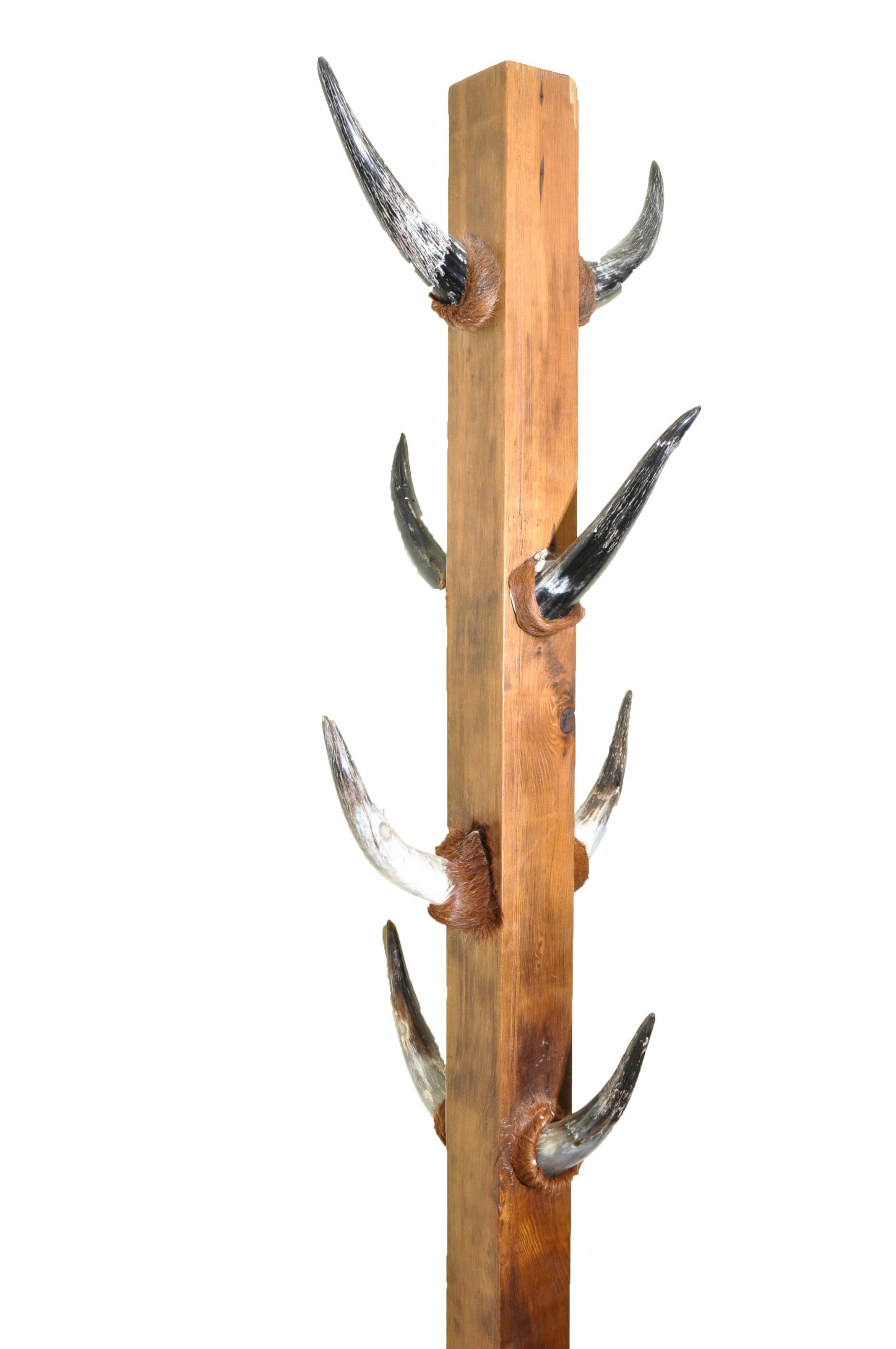 Bull Horn Coat Rack