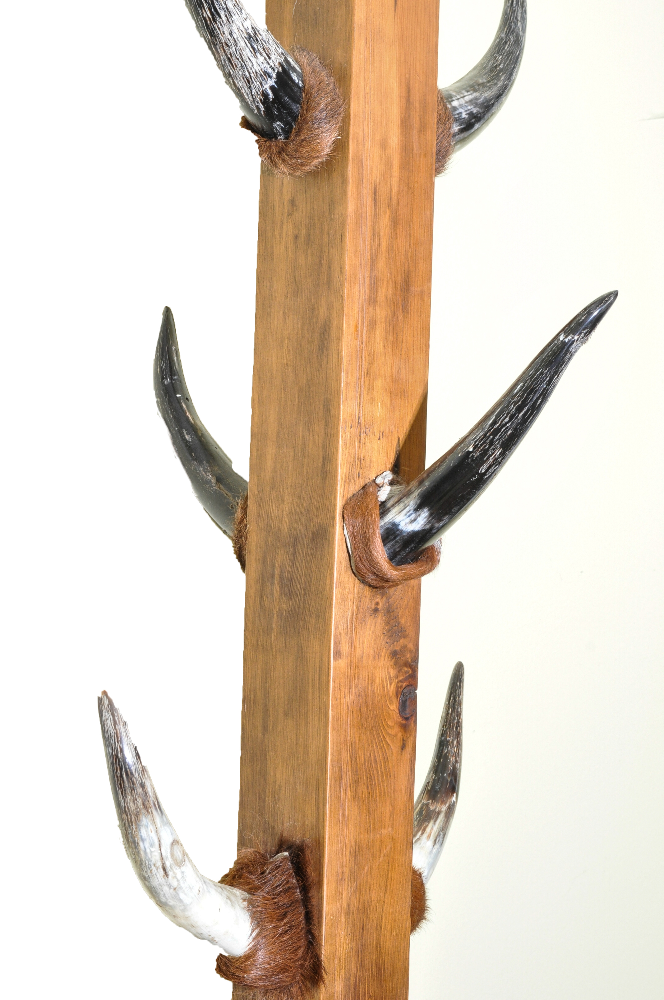 Bull Horn Coat Rack