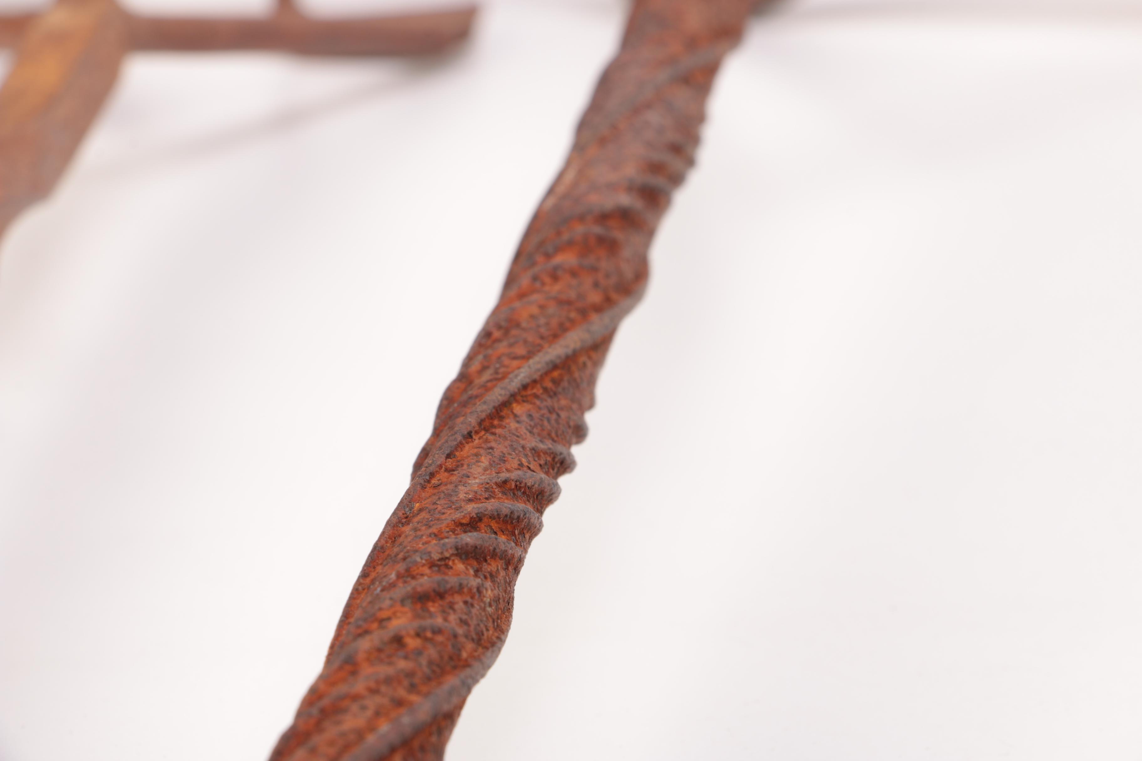 Cattle Branding Iron