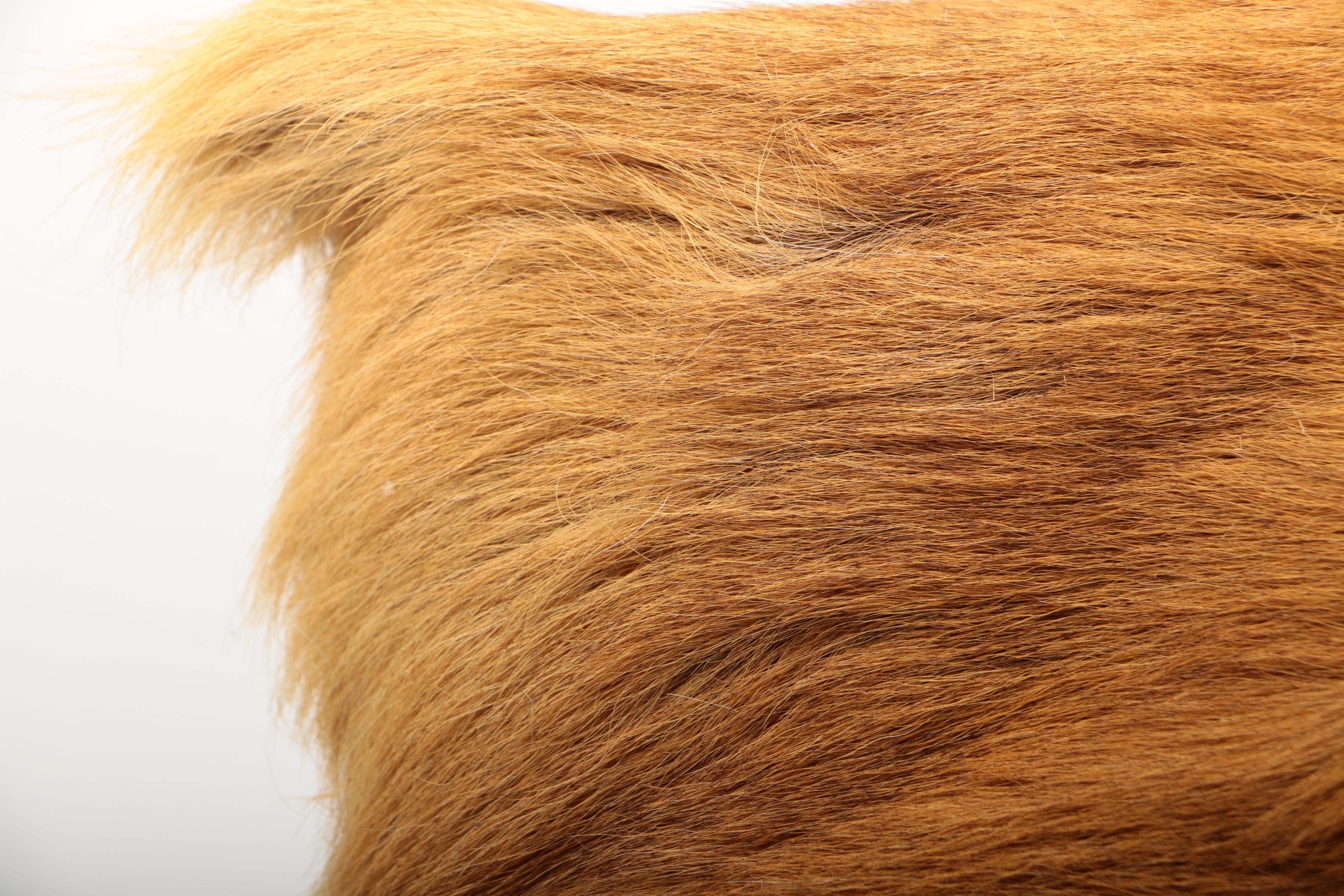 Deer and Cow Hide Pillow Covers