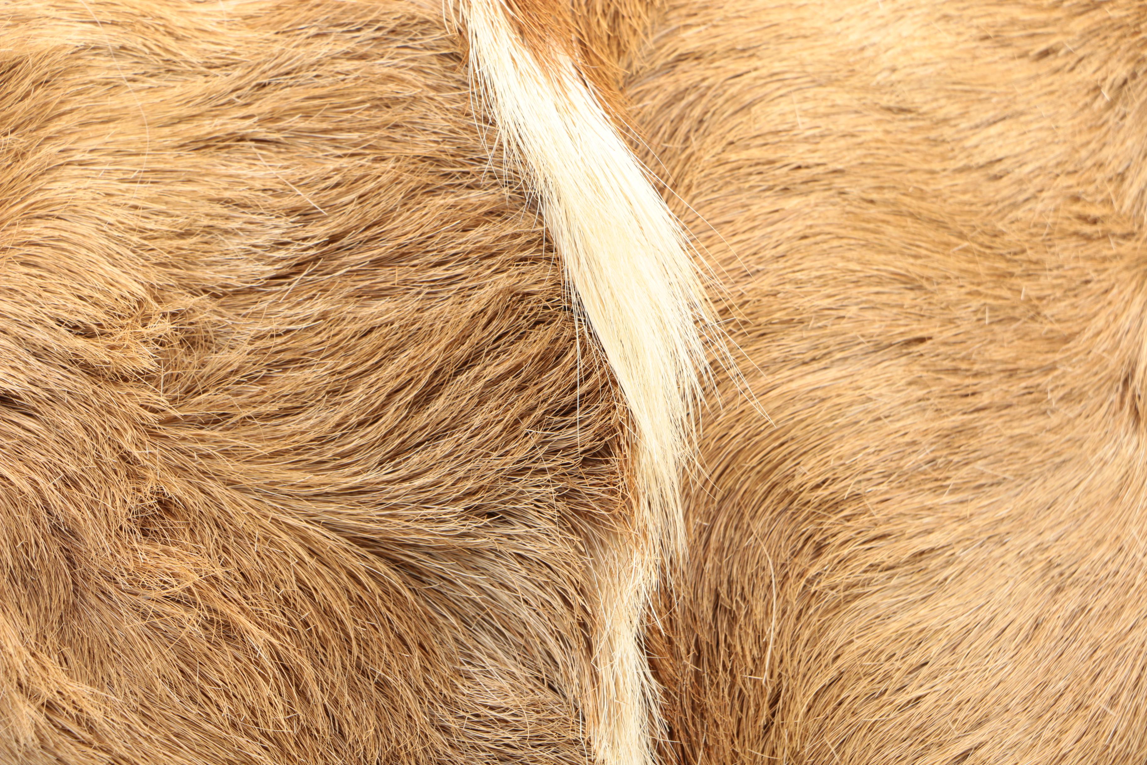 Deer and Cow Hide Pillow Covers