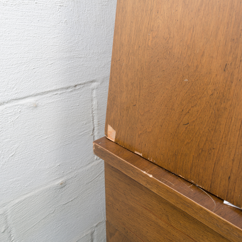 Mid Century Modern Display Cabinet by Ronnie Brahms