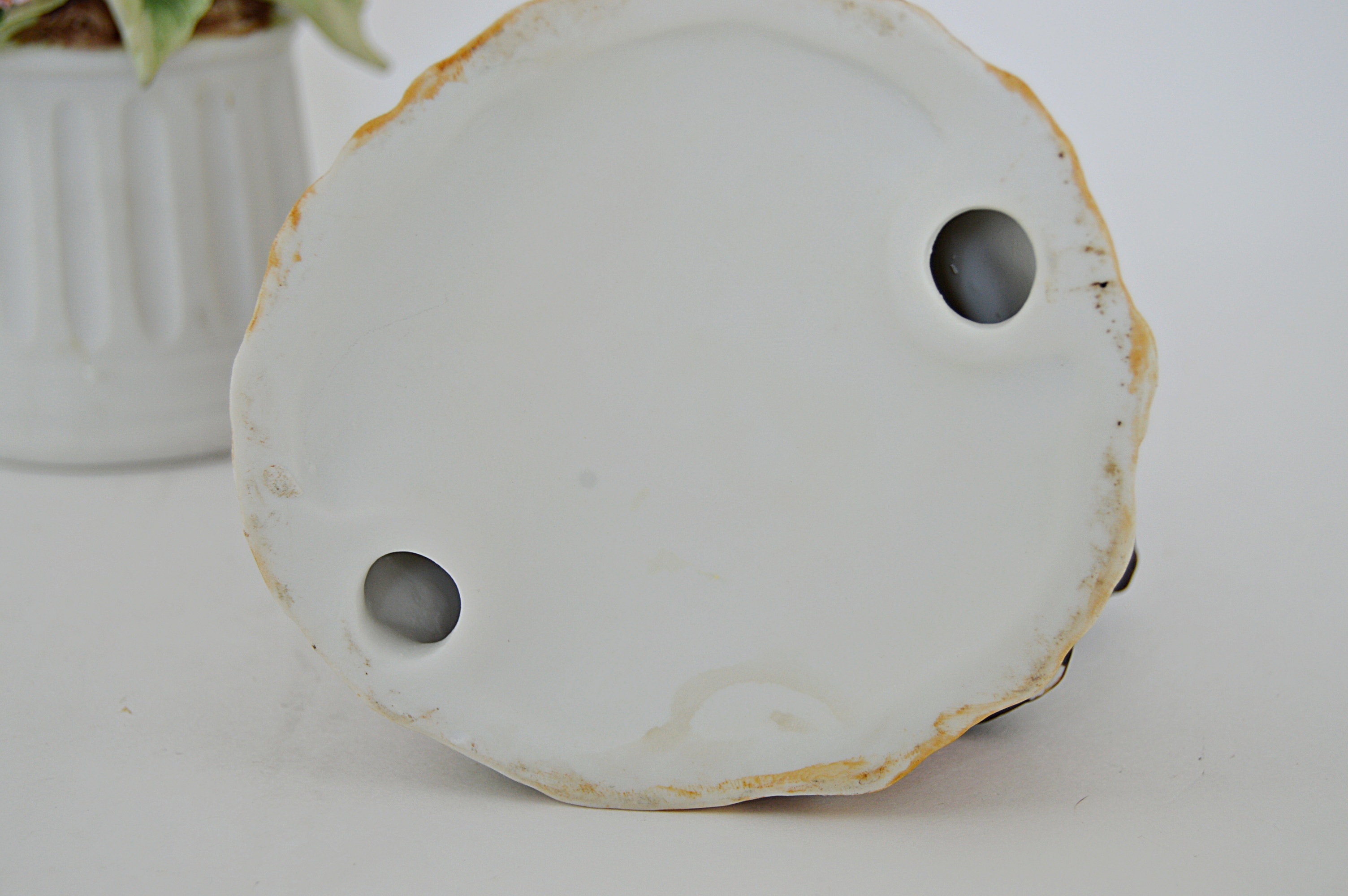 Vintage Bird and Floral Porcelain and Bone China Figurines