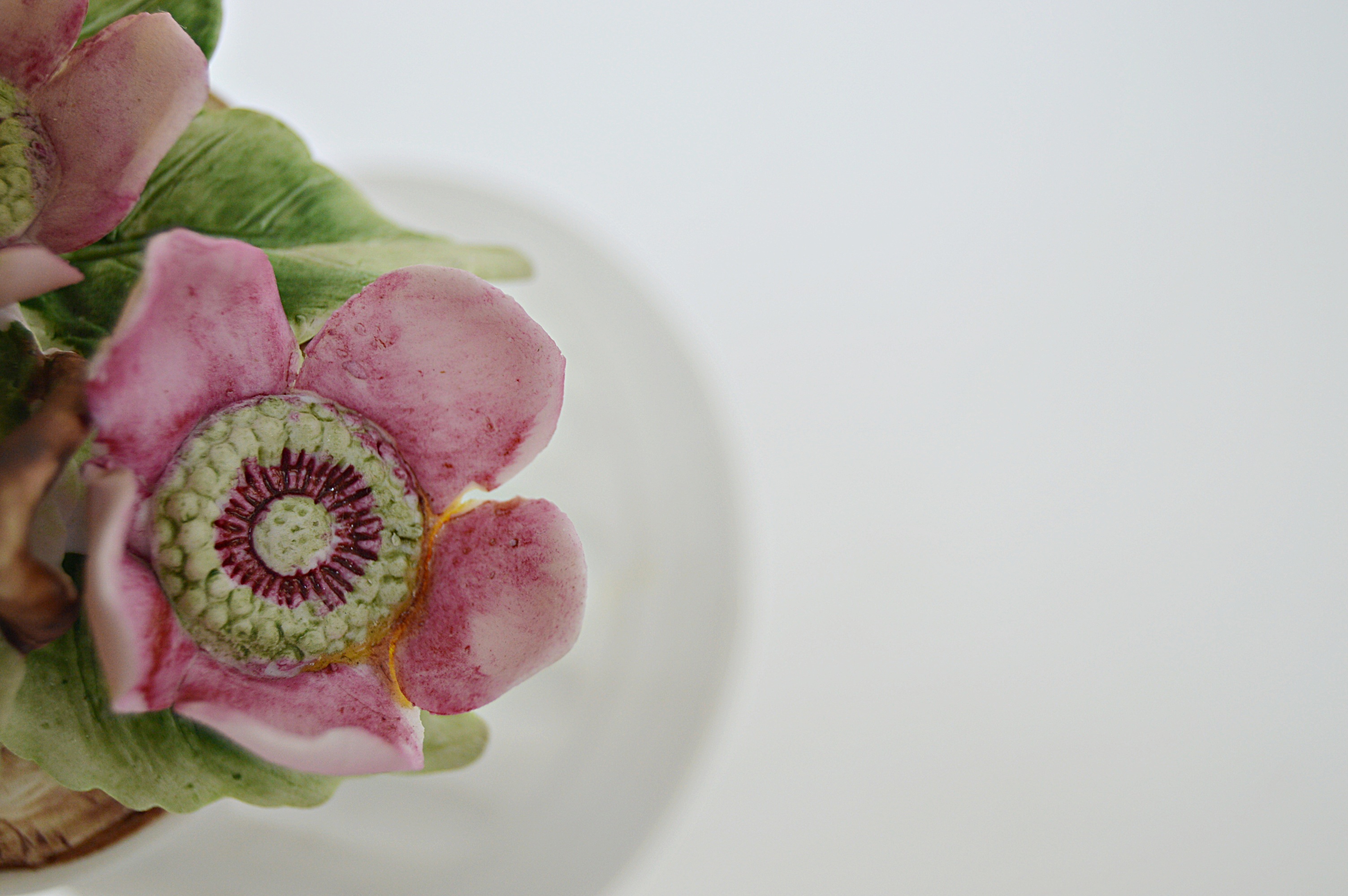 Vintage Bird and Floral Porcelain and Bone China Figurines