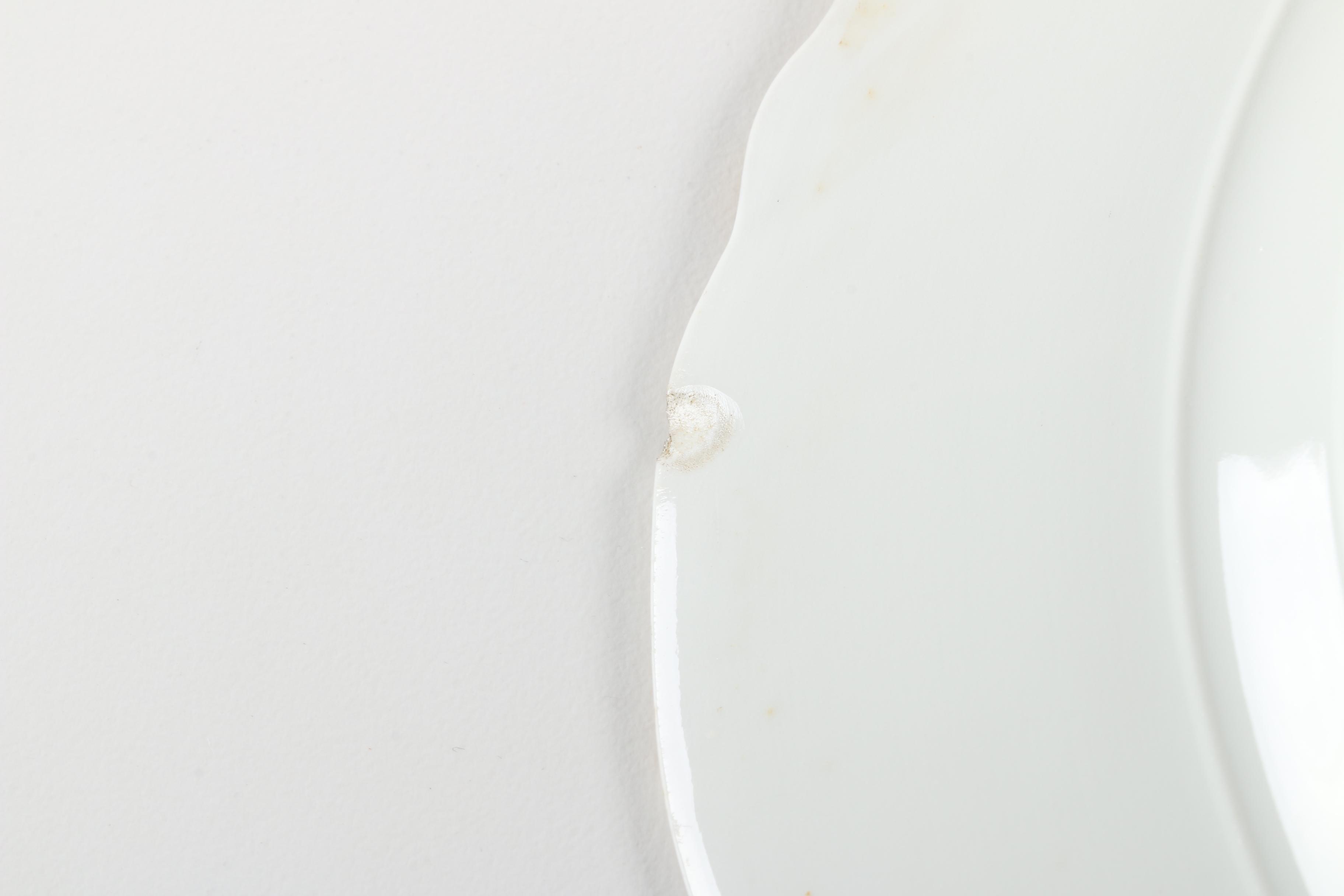 Haviland France Limoges "Red Flowers and Green Leaves" Porcelain Tableware