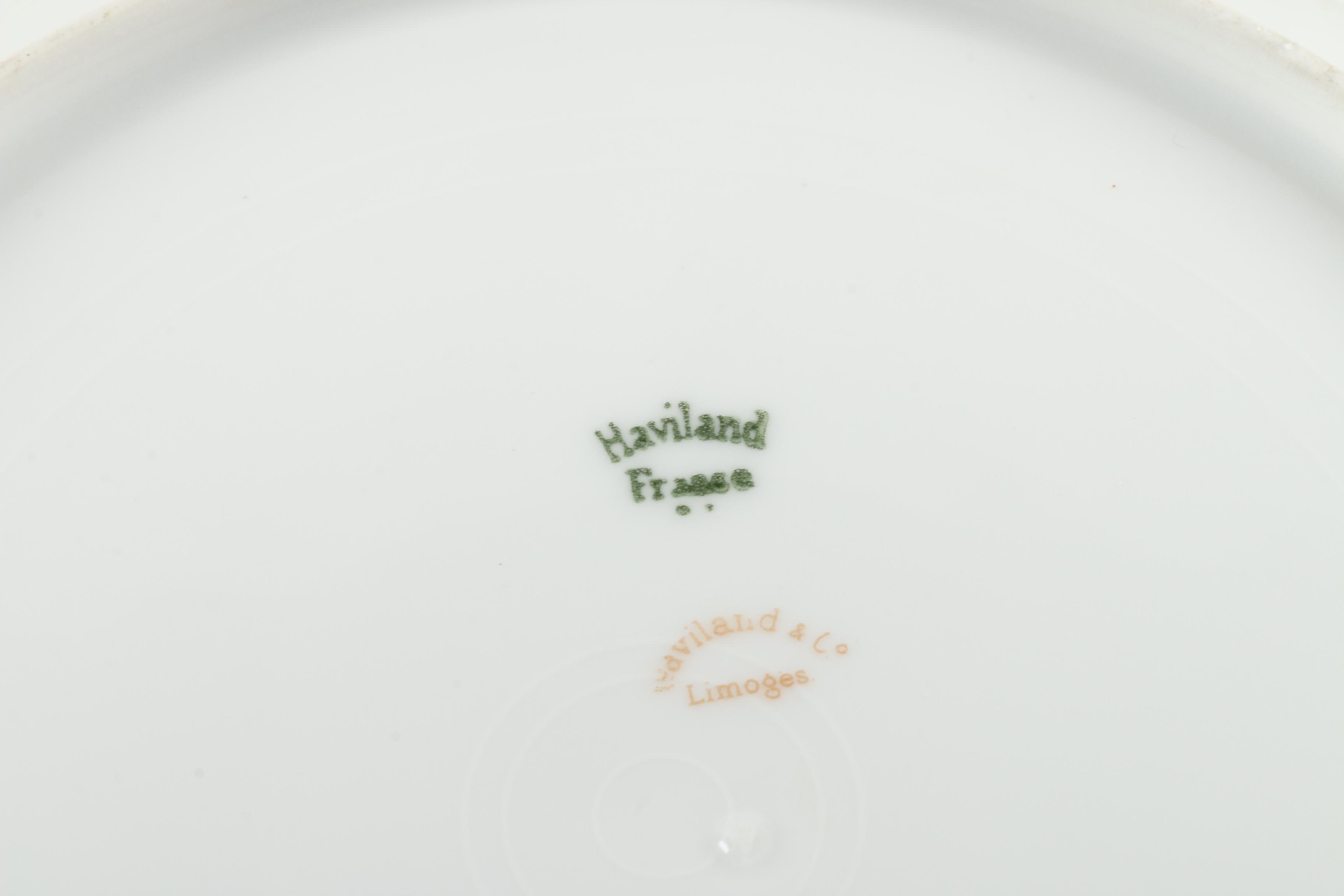 Haviland France Limoges "Red Flowers and Green Leaves" Porcelain Tableware