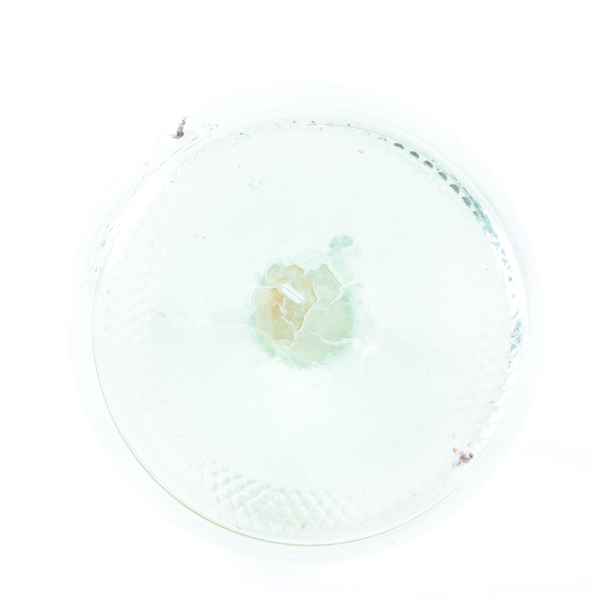 Nautical Themed Glassware and Shell Decor