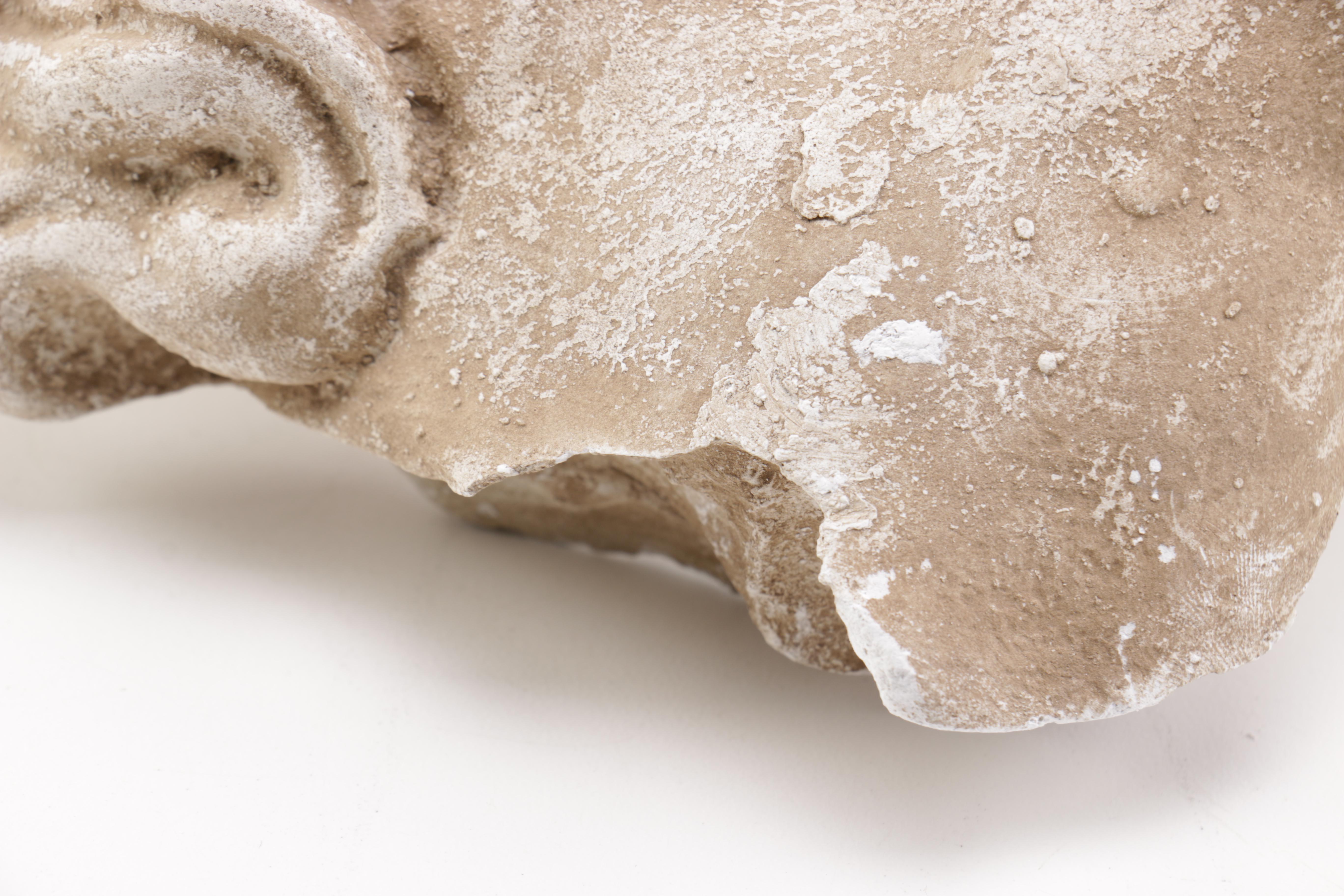 Sculpted Head of a Greek God