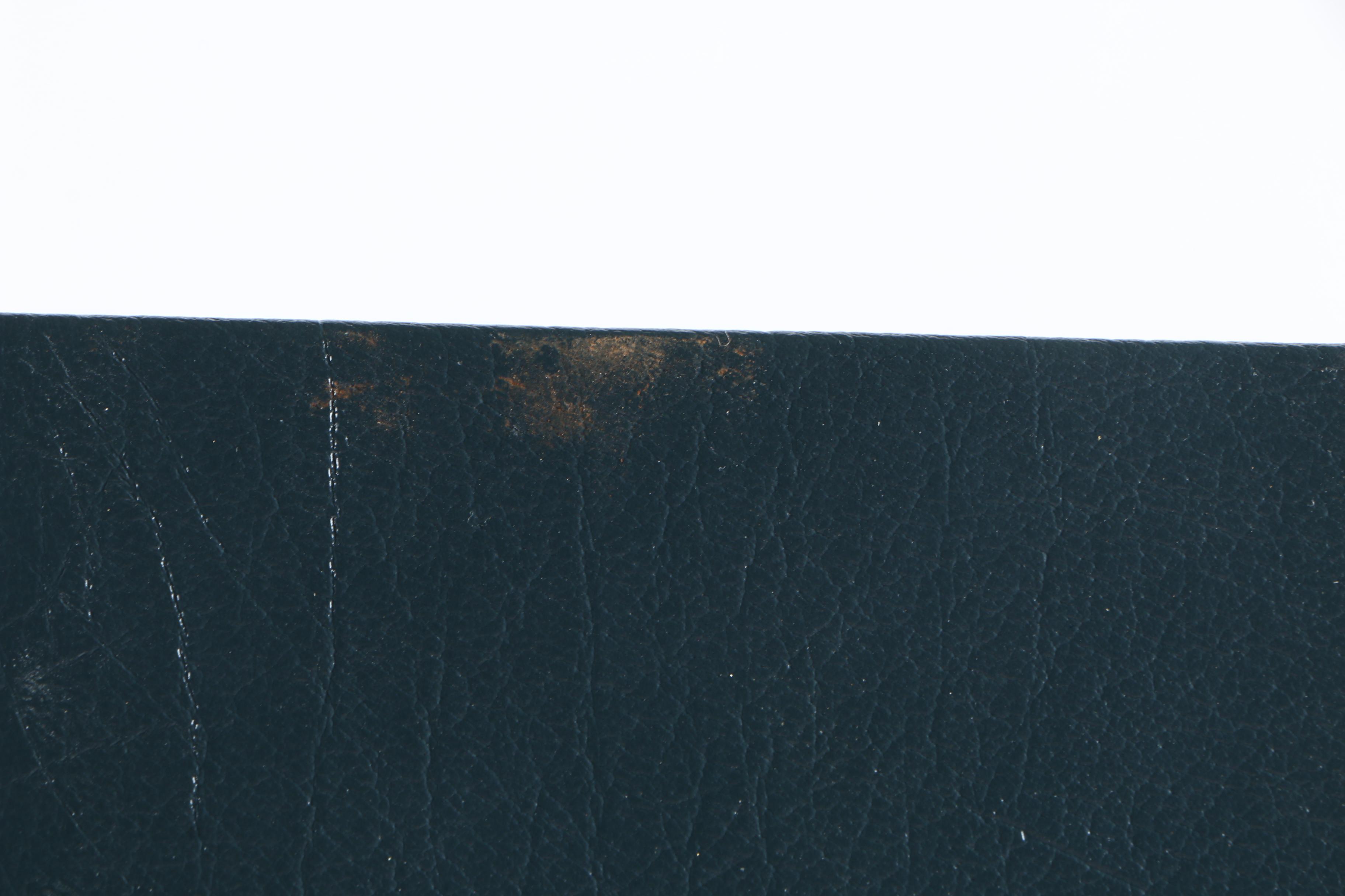 2000 "Muhammad Ali" by Alan Goldstein