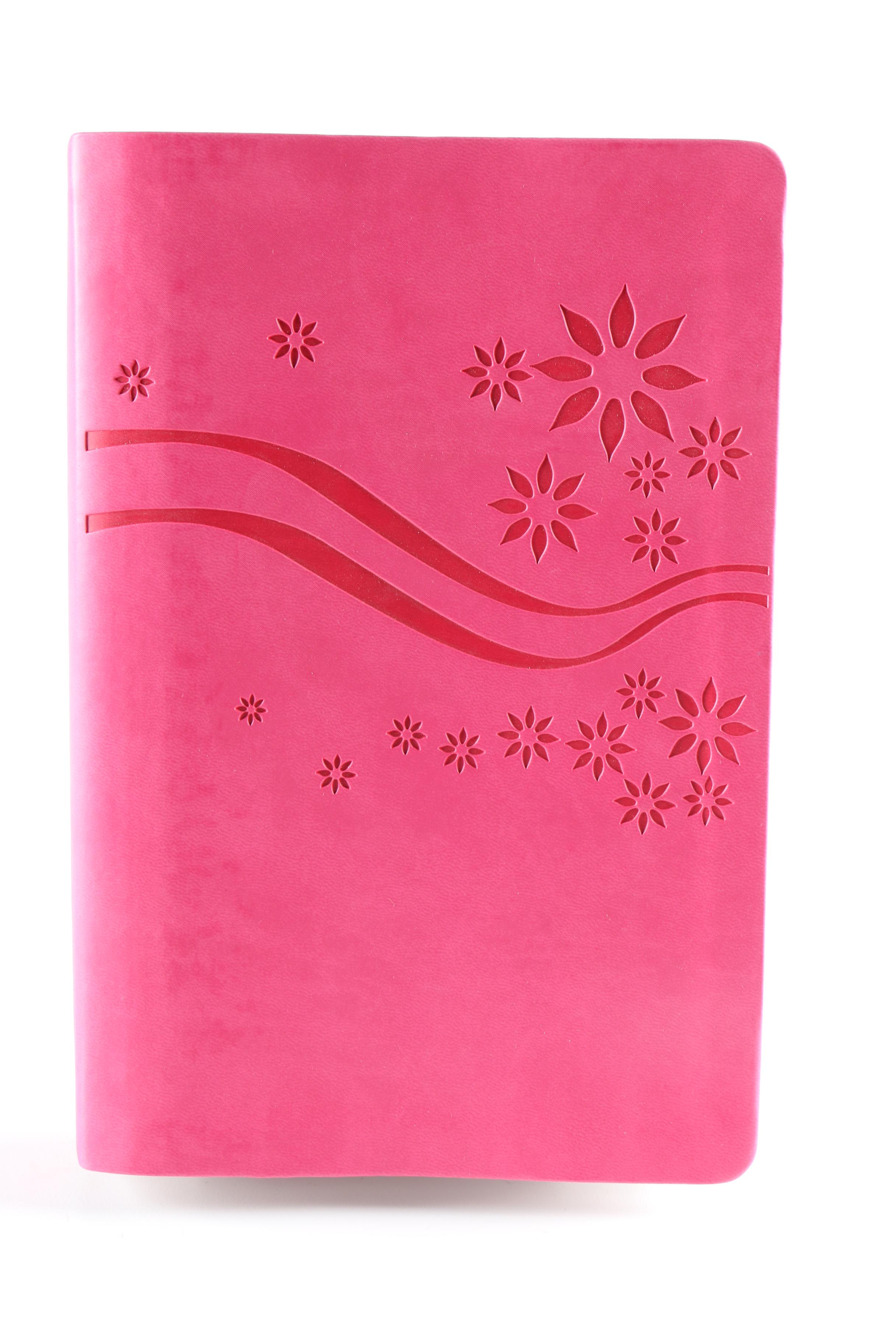 2003 "Illustrated Study Bible for Kids"