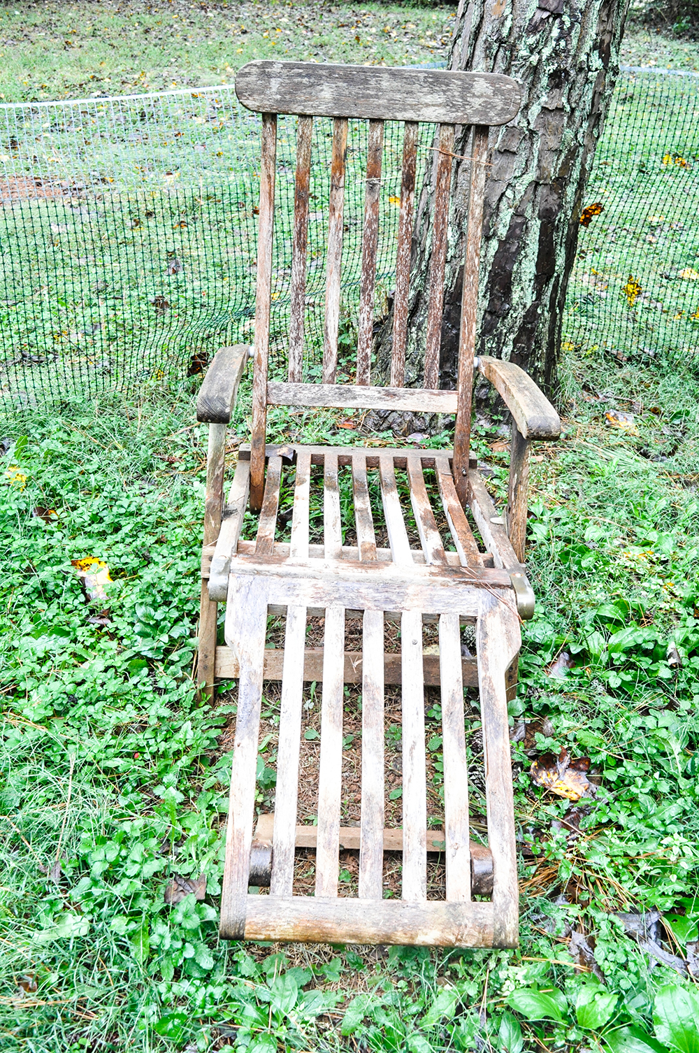 Set of Teak Chairs by Hudson Hill