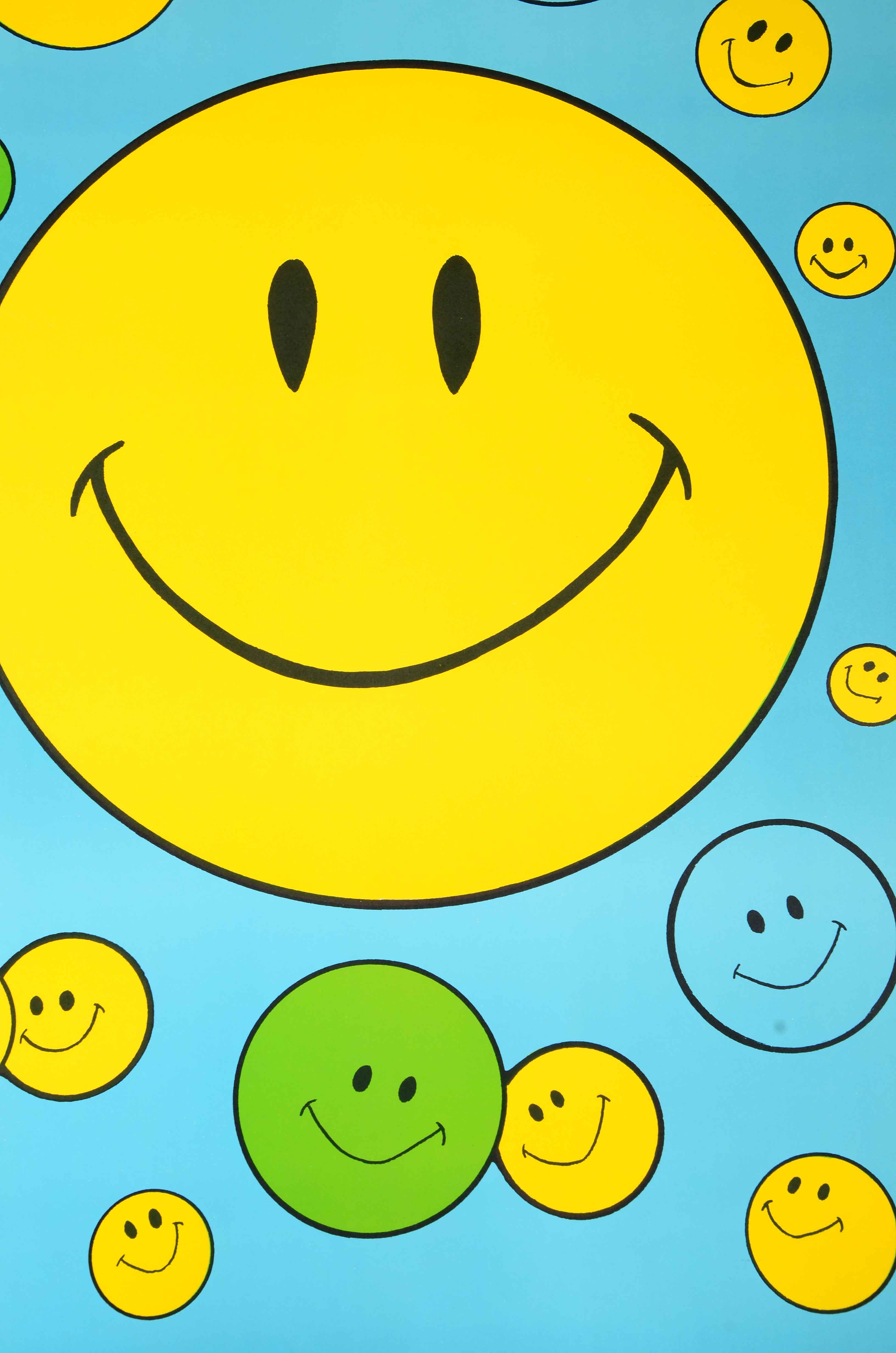 Collection of 1970s Era Lilthographic Posters