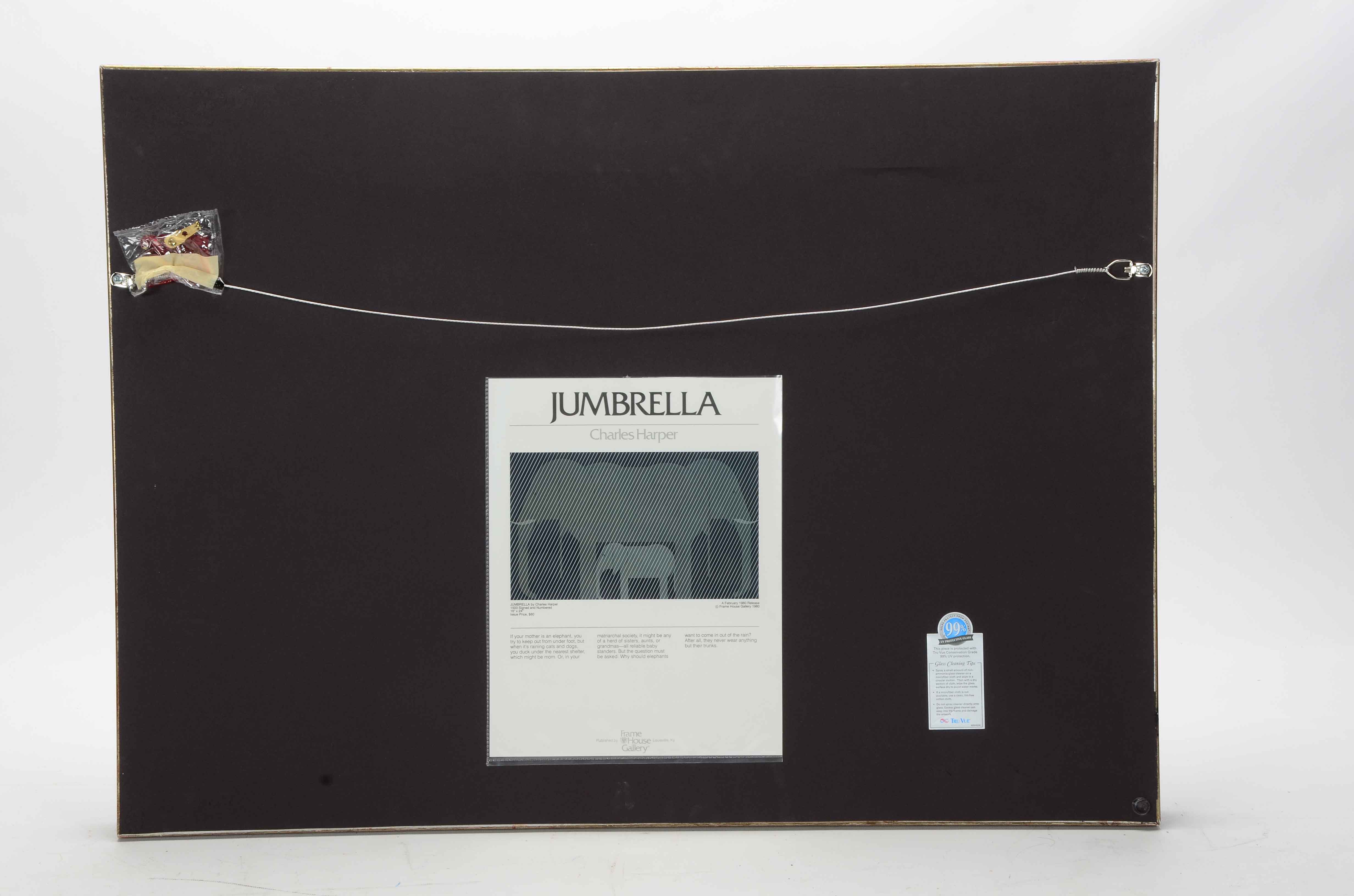 Charley Harper Signed Limited Edition Serigraph "Jumbrella"