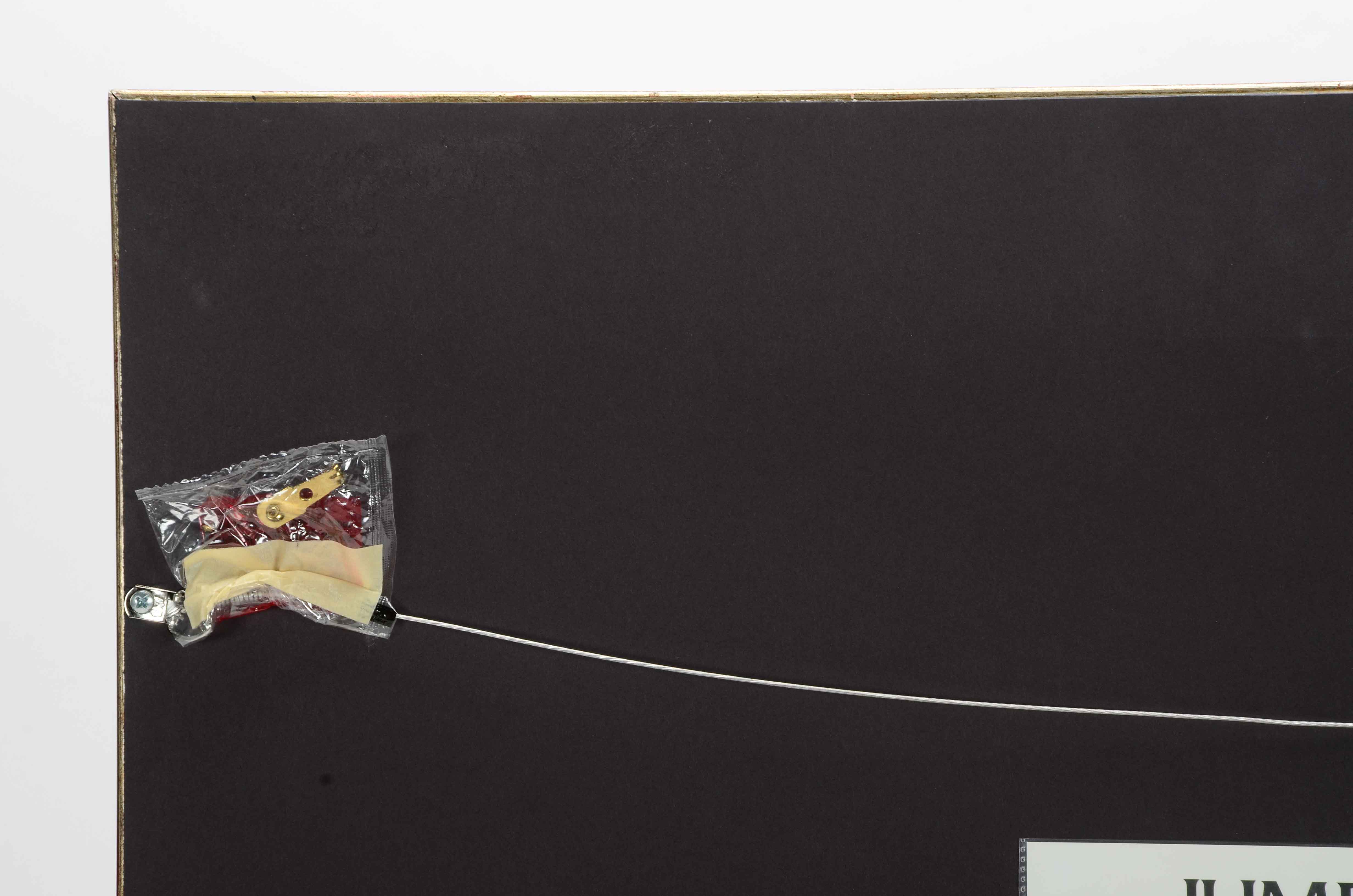 Charley Harper Signed Limited Edition Serigraph "Jumbrella"