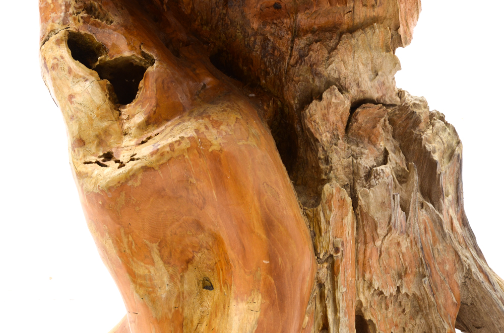Teak Root Table and Stools