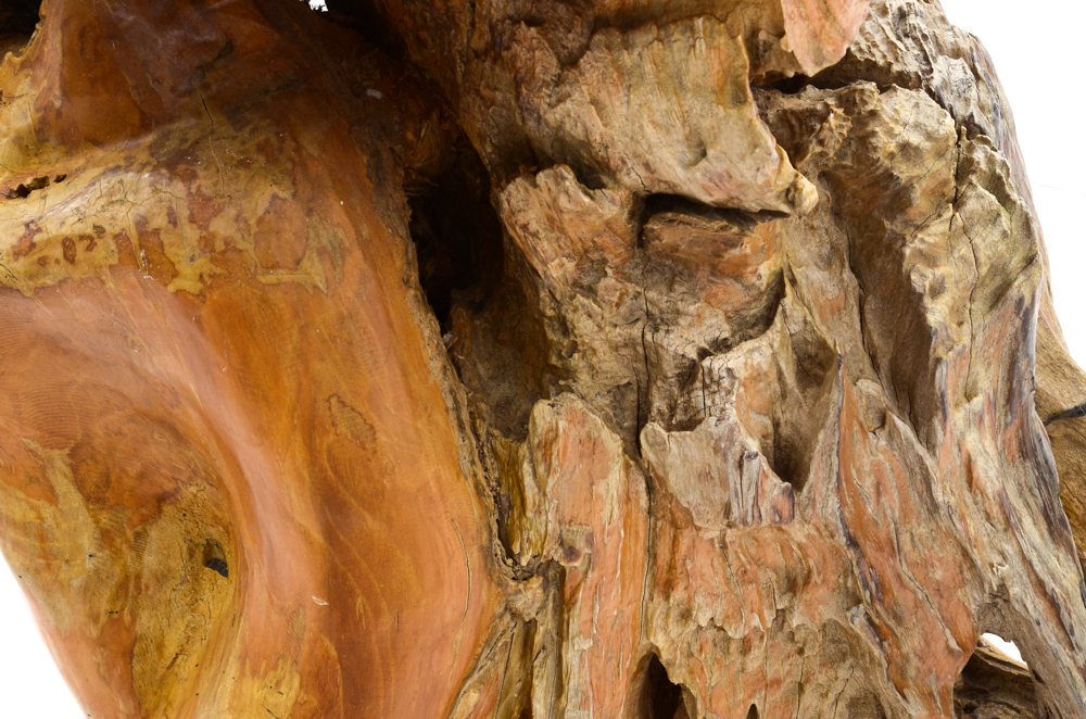 Teak Root Table and Stools
