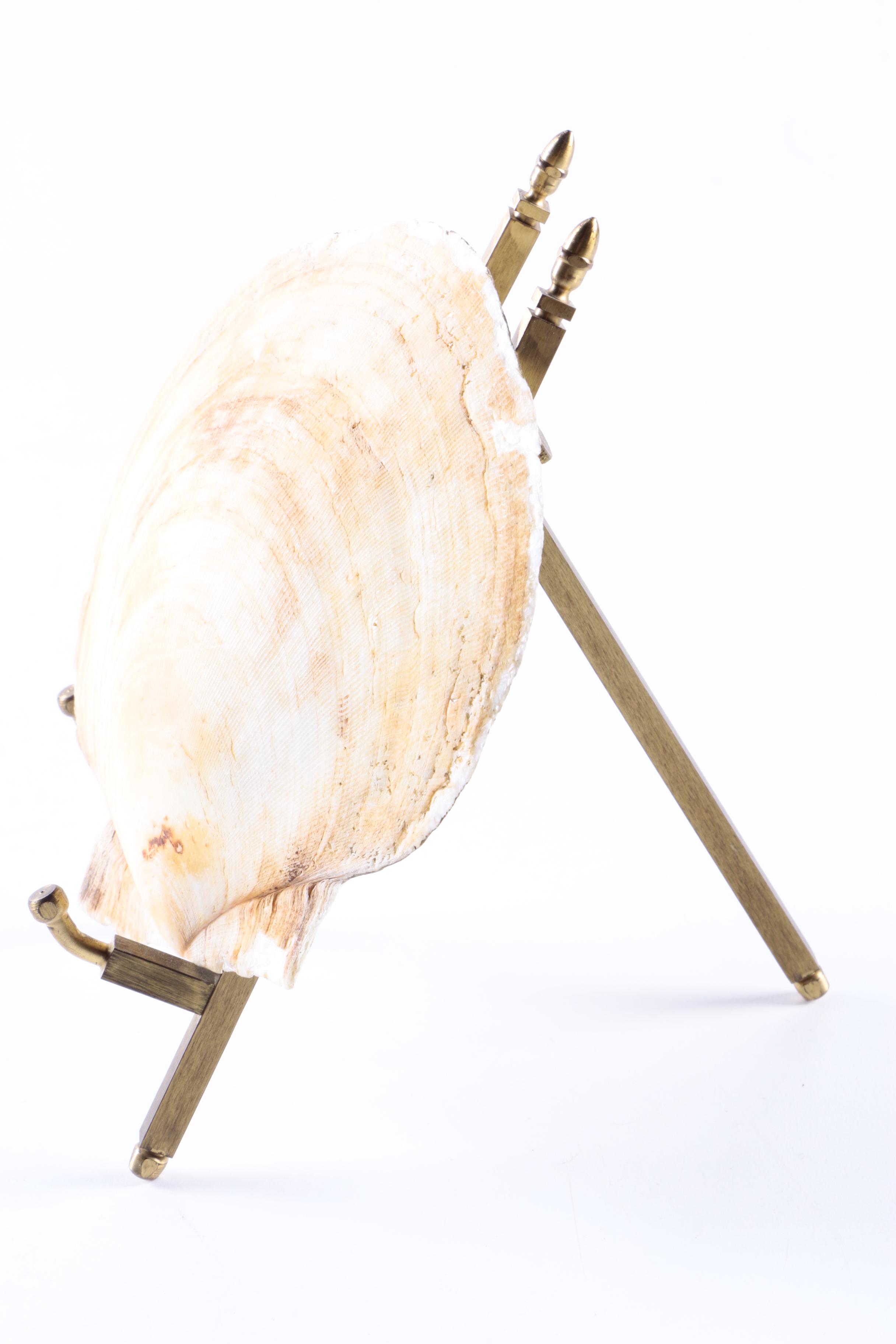 Ceramic and Porcelain Dishes