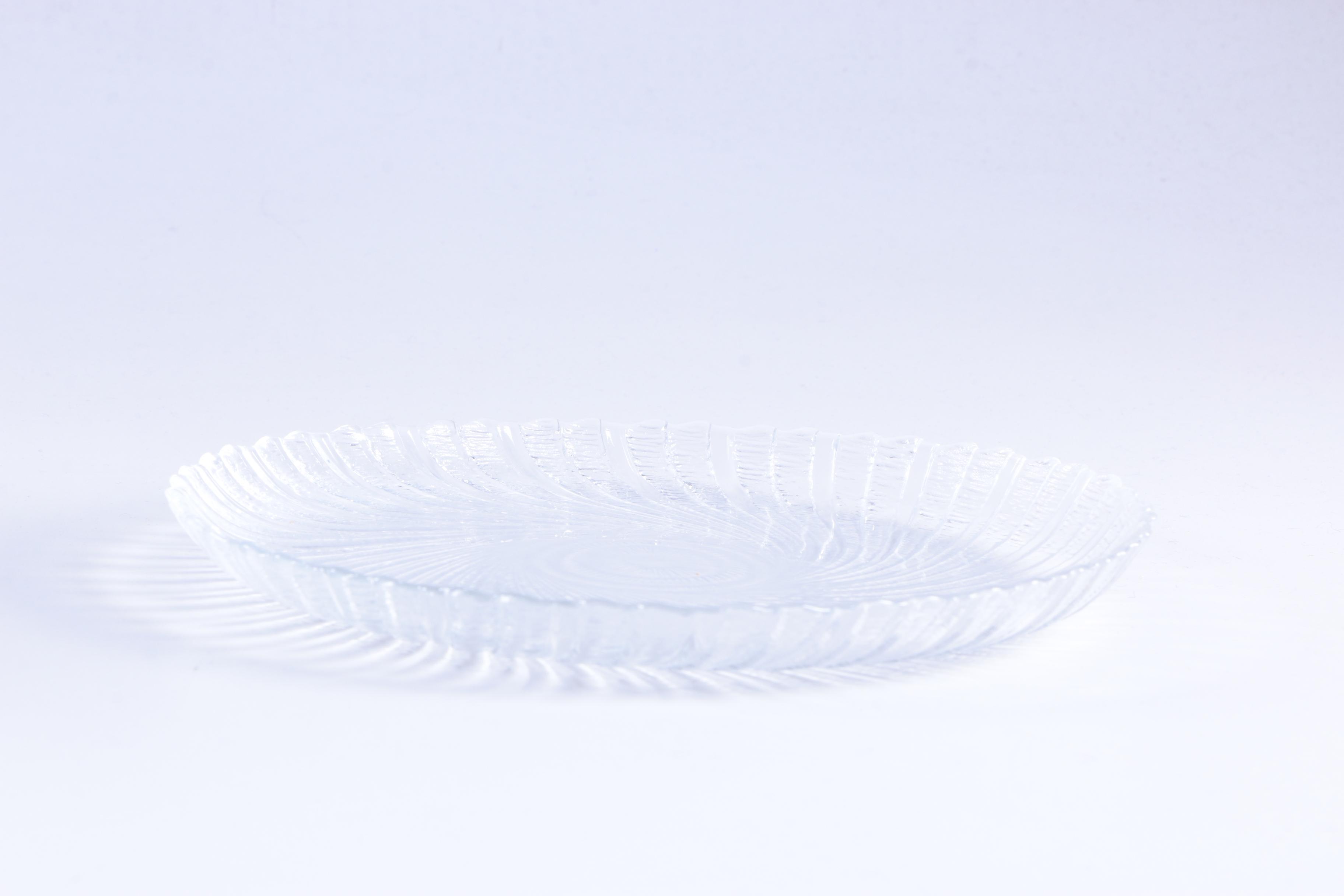 Arcoroc "Seabreeze" Glass Dinner Plates