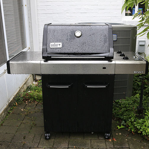 Weber Gas Grill