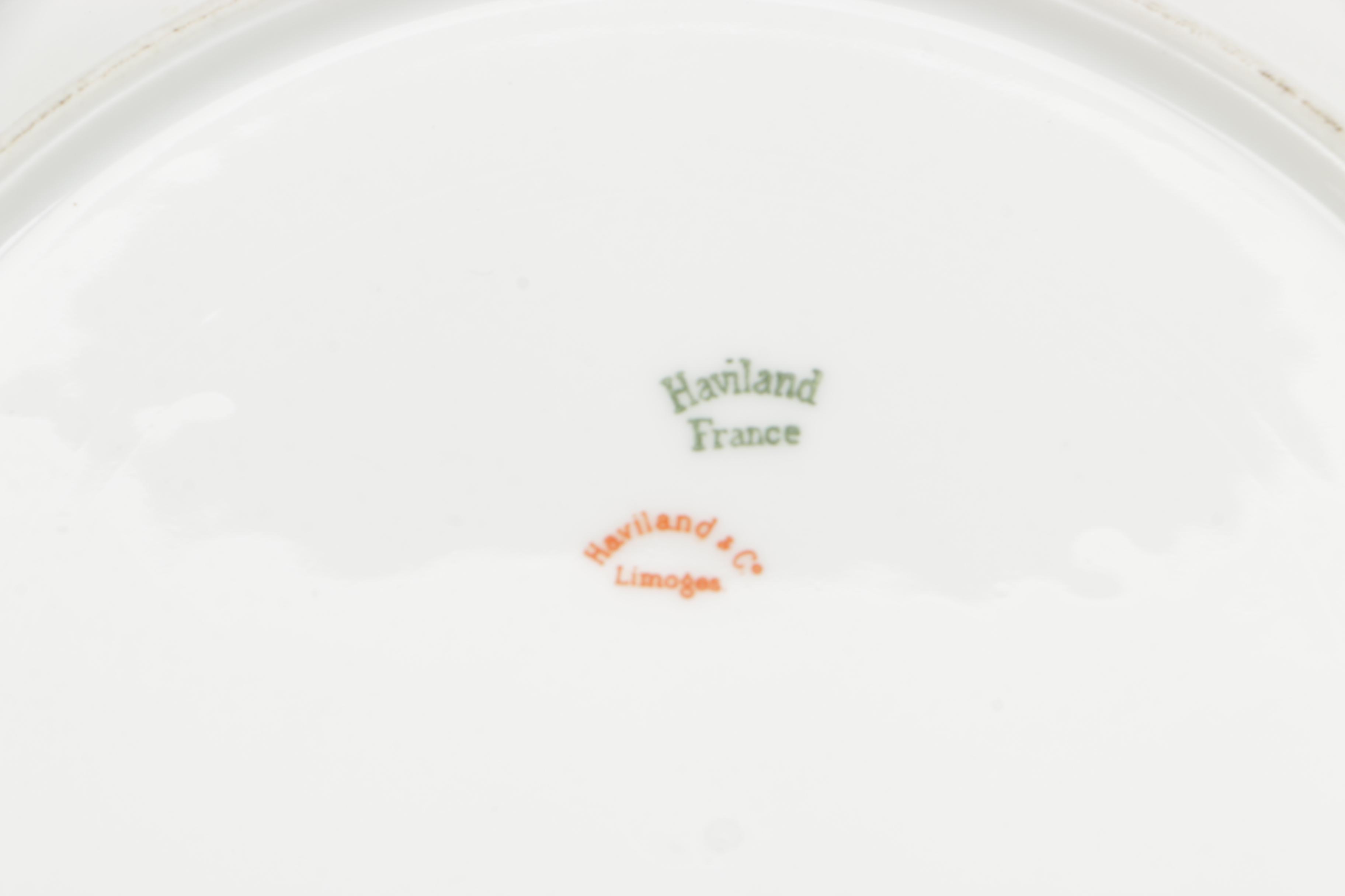 Vintage Haviland & Co. Limoges "Princess" Porcelain Tableware