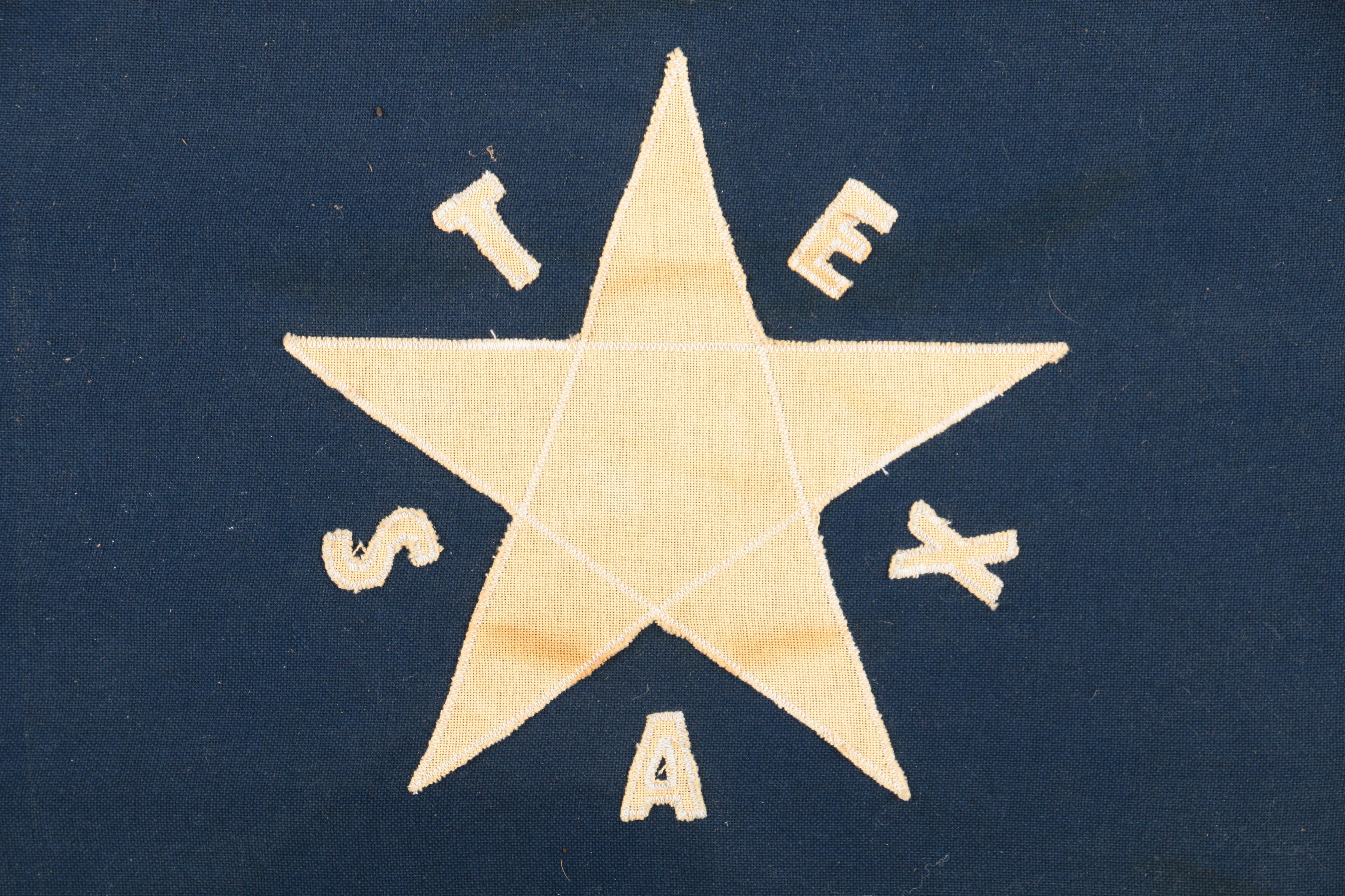 Vintage Sewn Cloth First Flag of The Republic of Texas In Wooden Frame