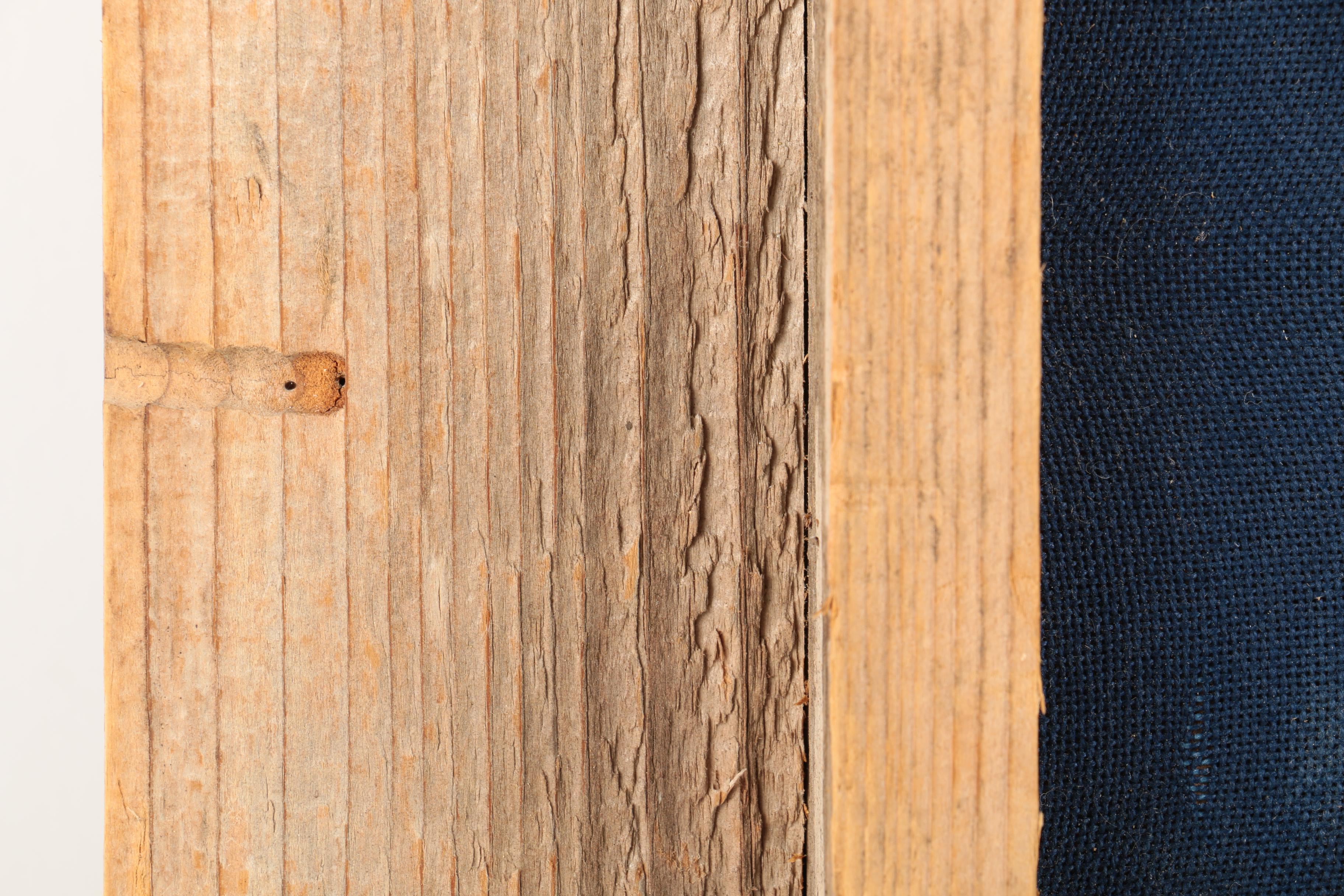 Vintage Sewn Cloth First Flag of The Republic of Texas In Wooden Frame