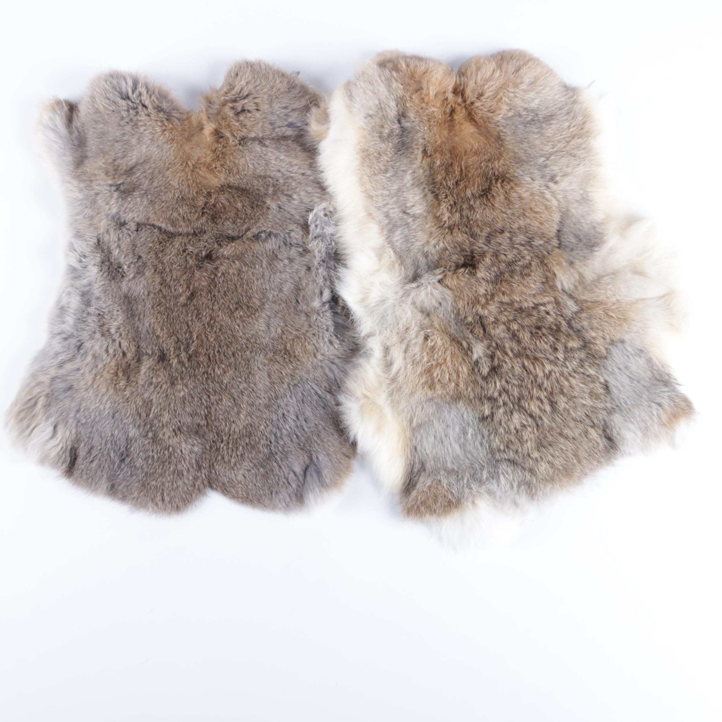 Pair of Rabbit Pelts