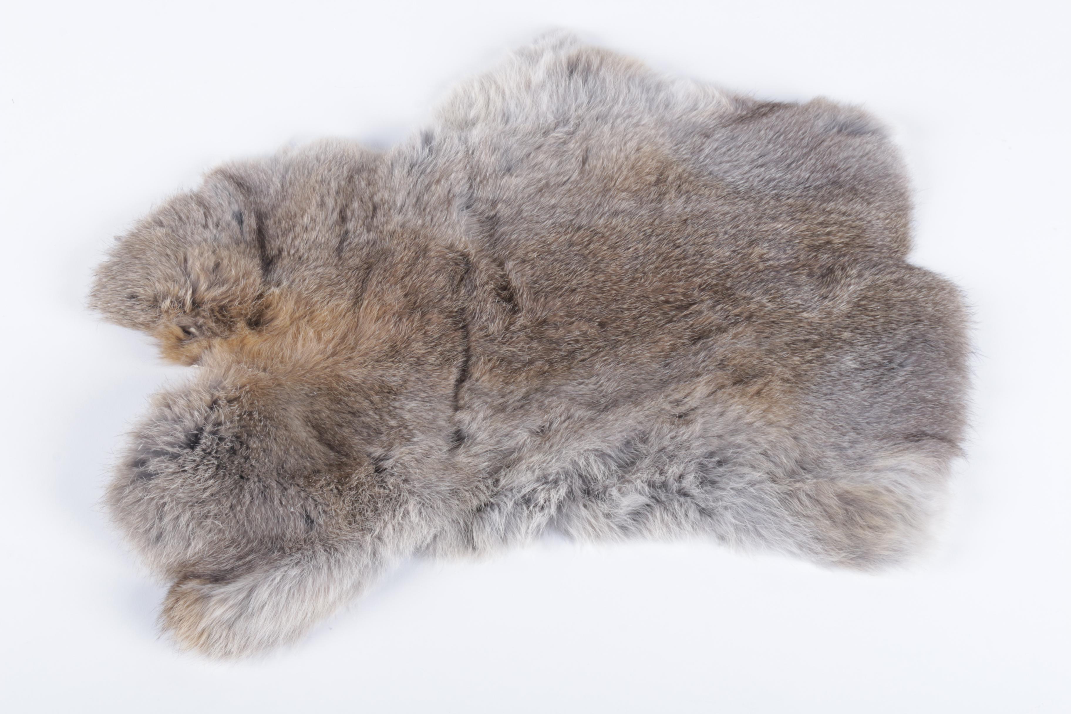 Pair of Rabbit Pelts