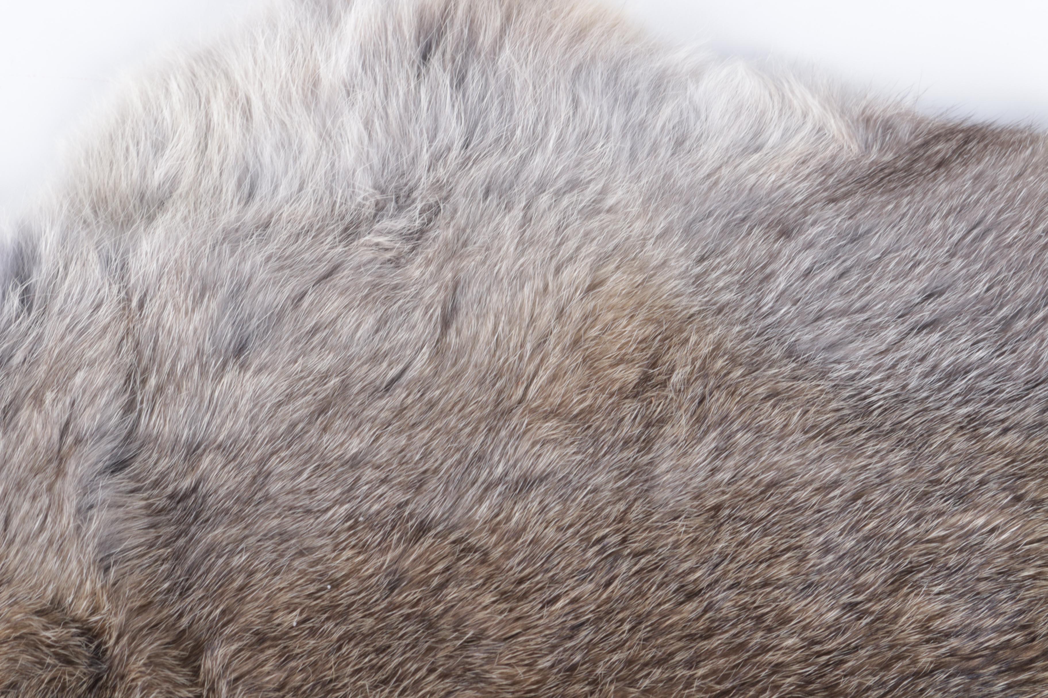 Pair of Rabbit Pelts