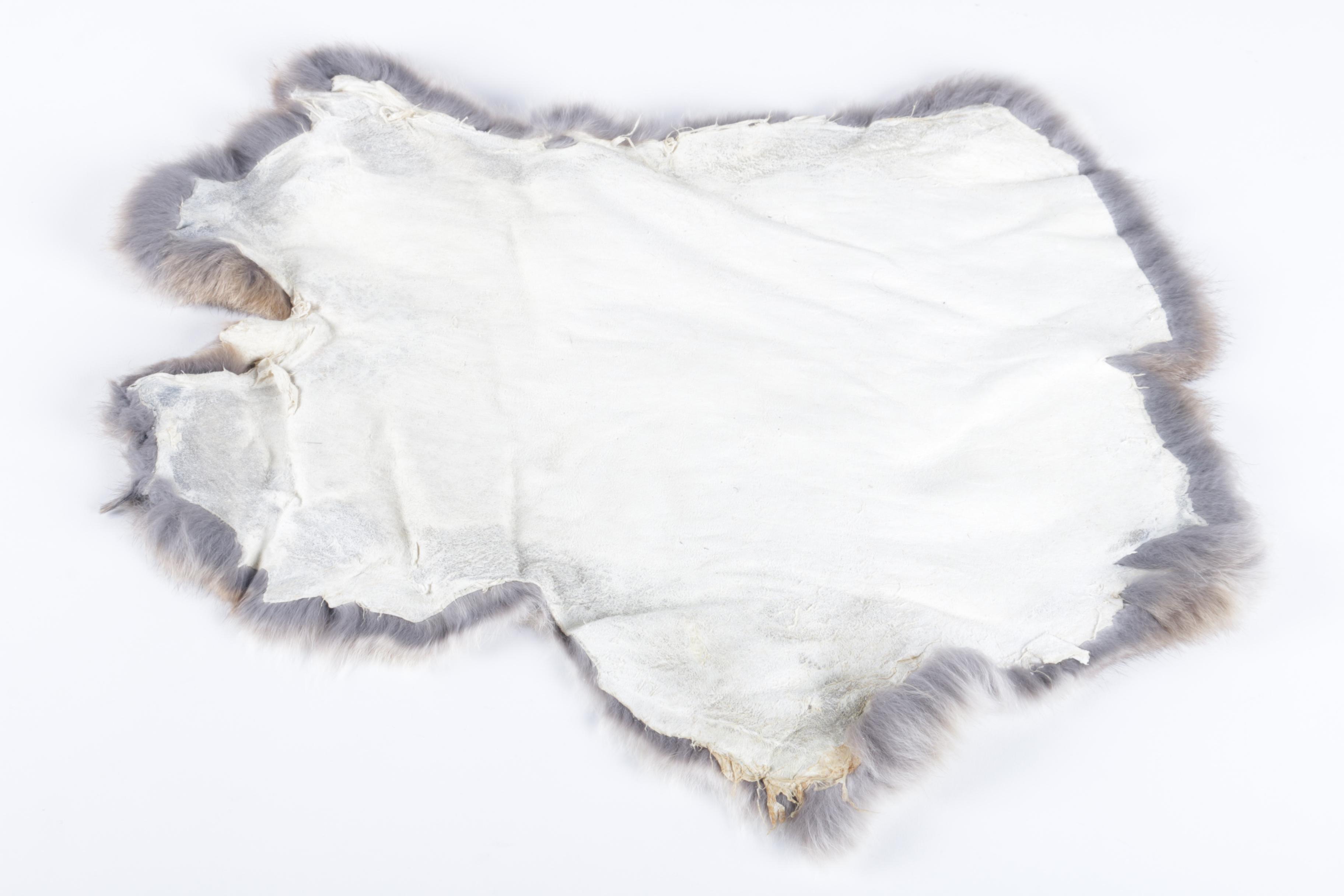 Pair of Rabbit Pelts